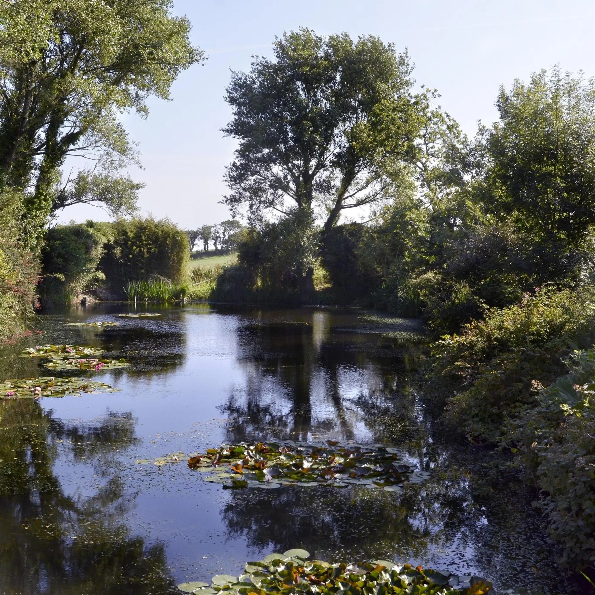 Natural landscape in Domaine de Kerzuat