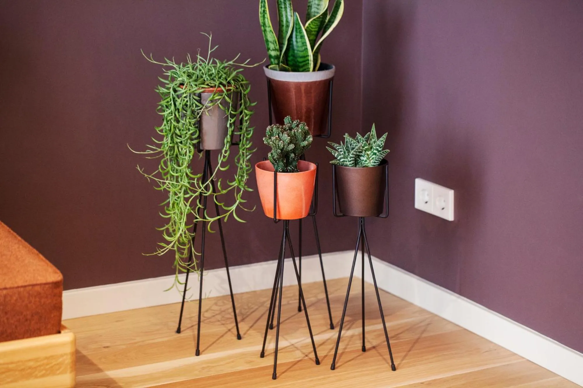 Decorative detail in DestinationBCN Universitat Apartments