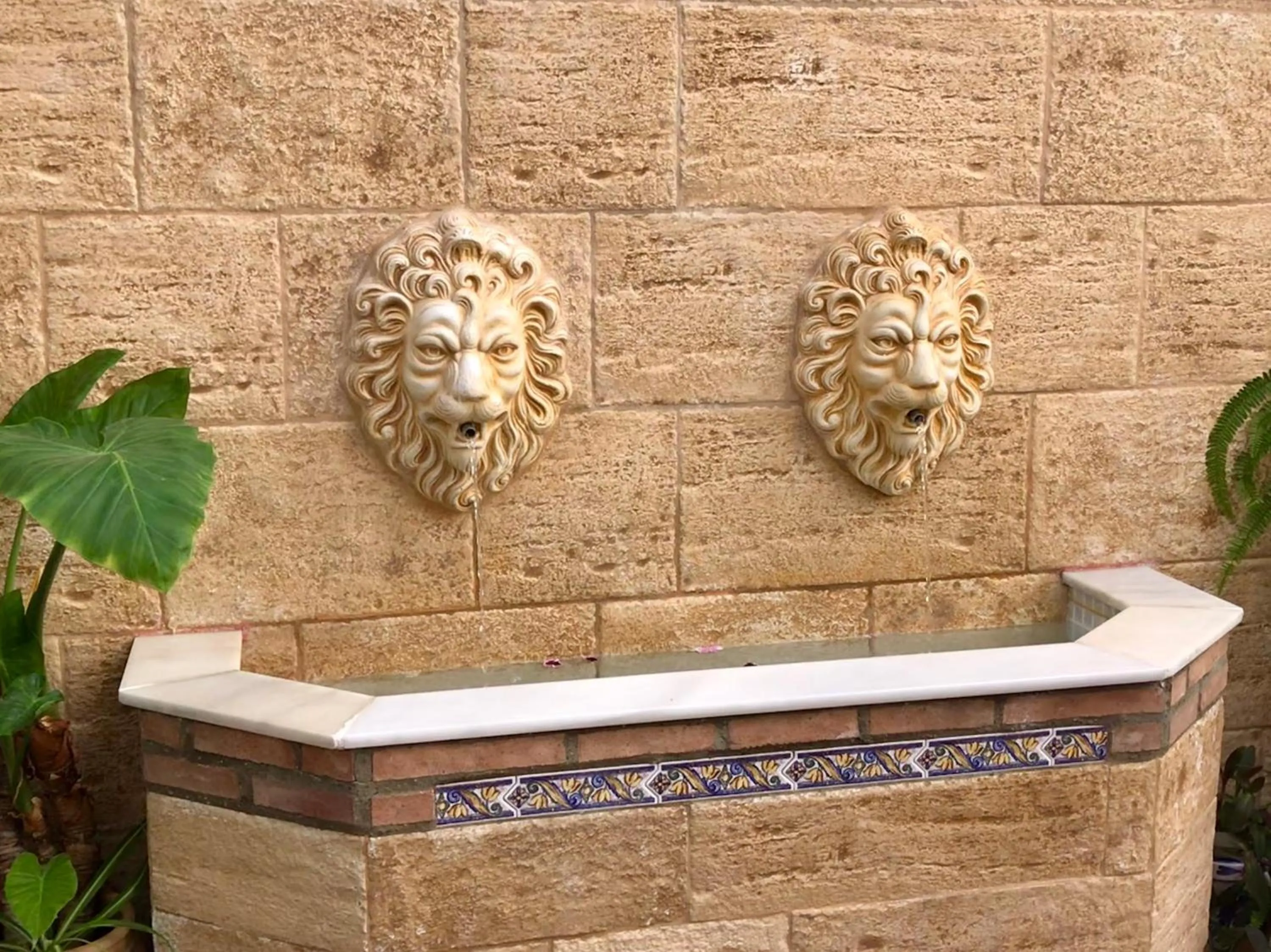 Patio in Hotel de Los Faroles