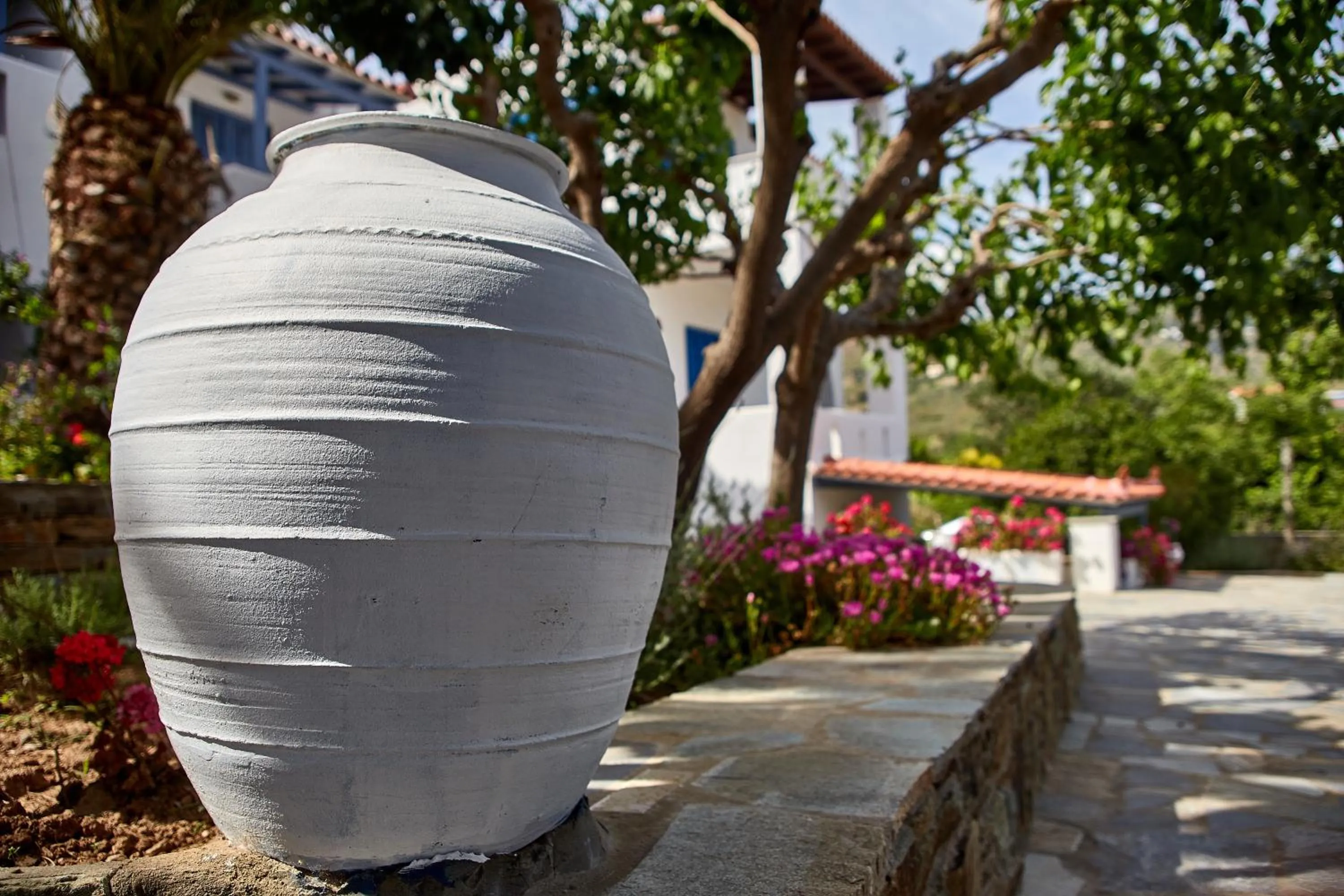 Garden in Irene Studios