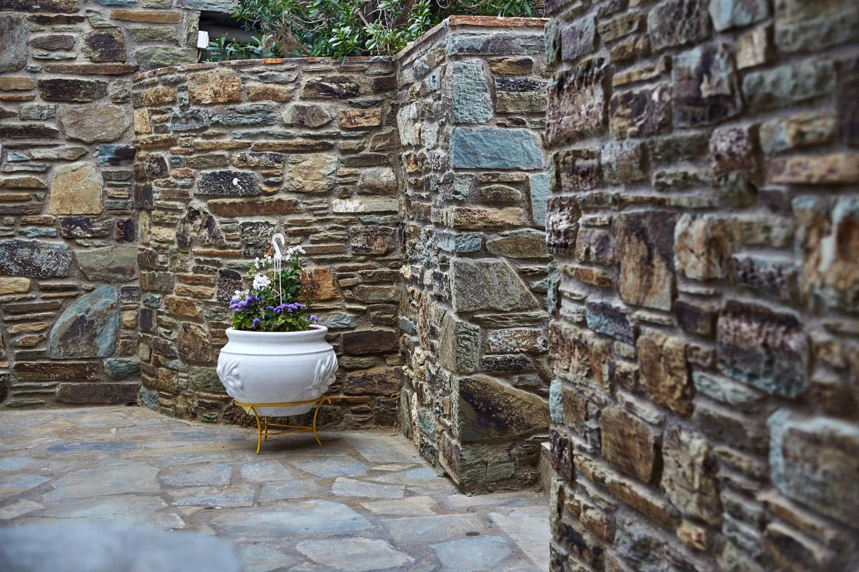 Day in Irene Studios