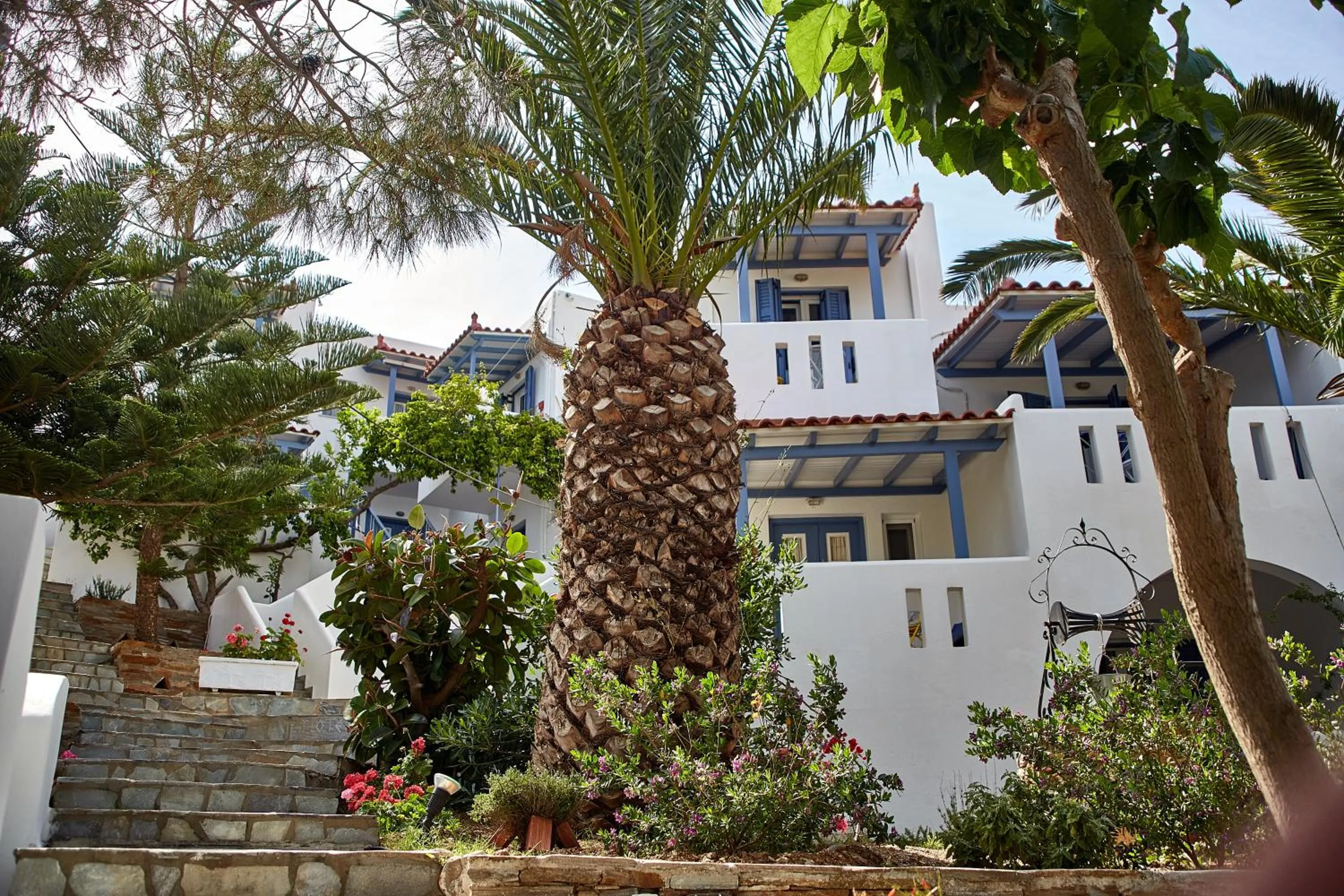 Garden in Irene Studios