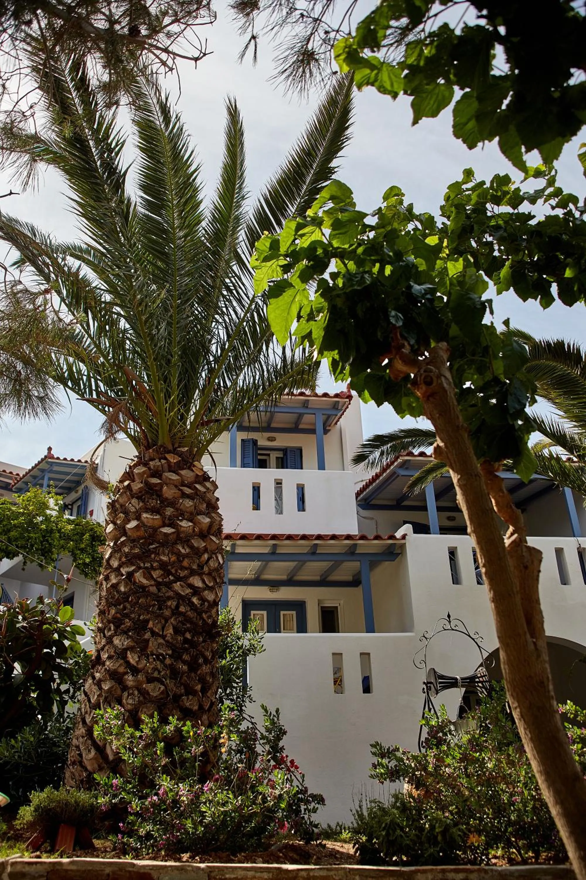 Garden in Irene Studios