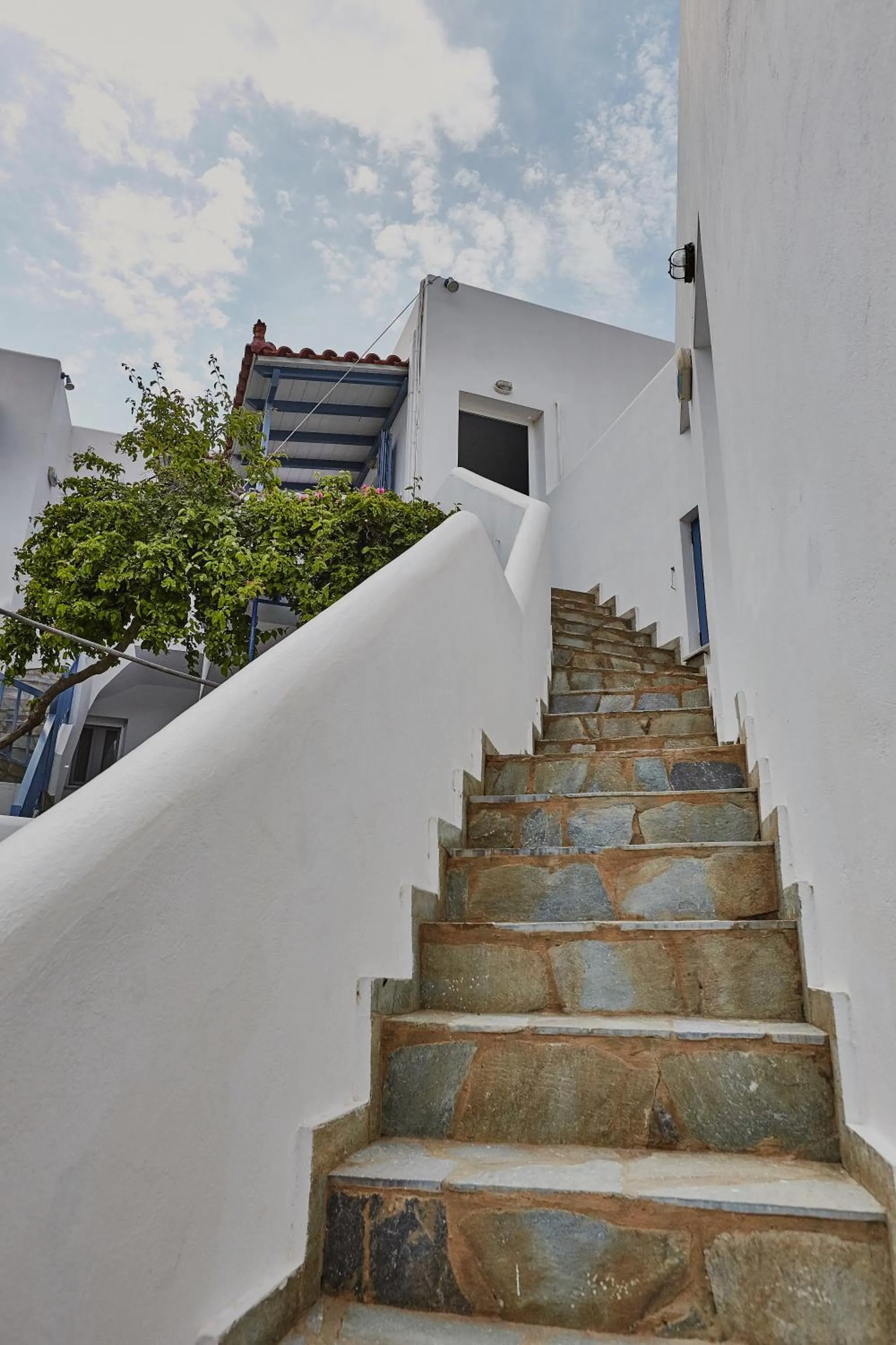 Garden in Irene Studios