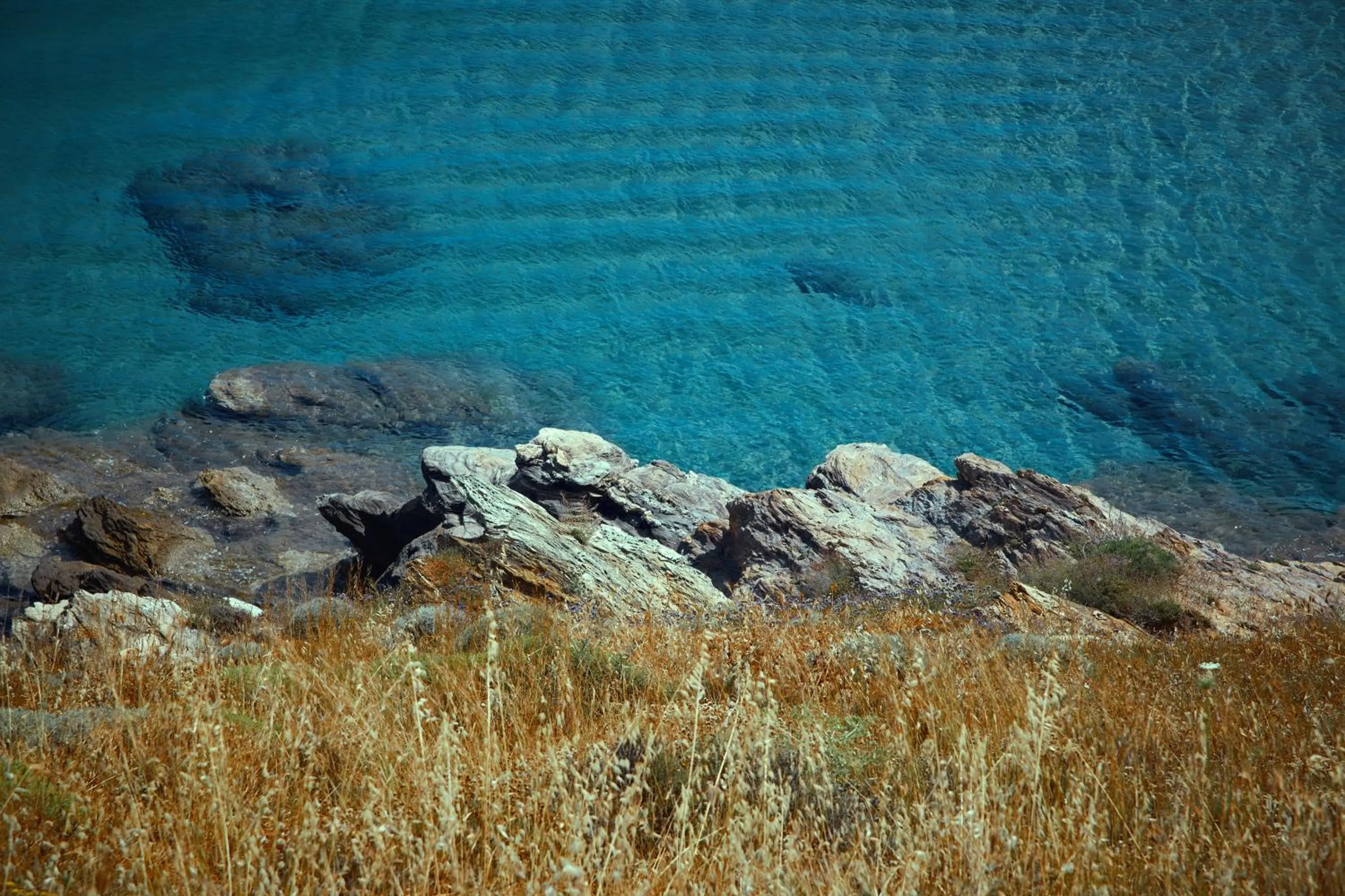 Other in Irene Studios