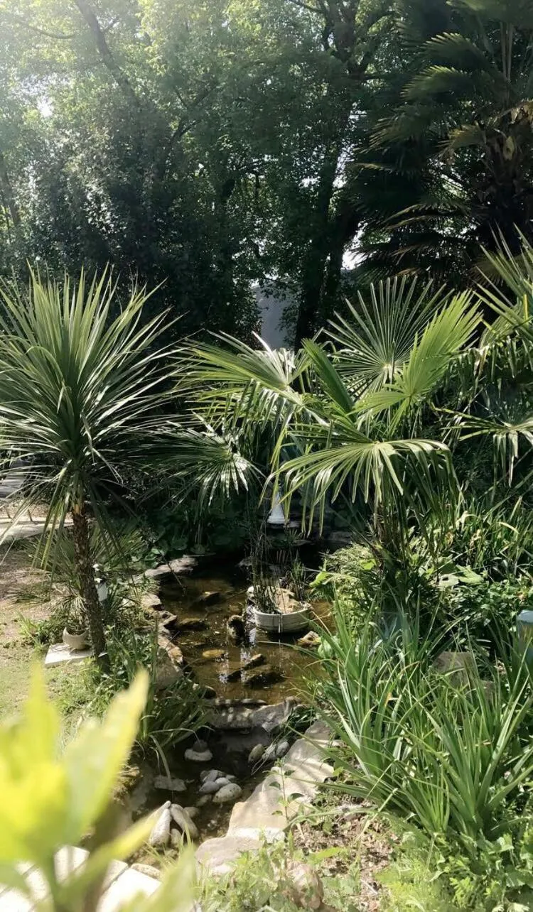 Natural landscape in La Gourmandine