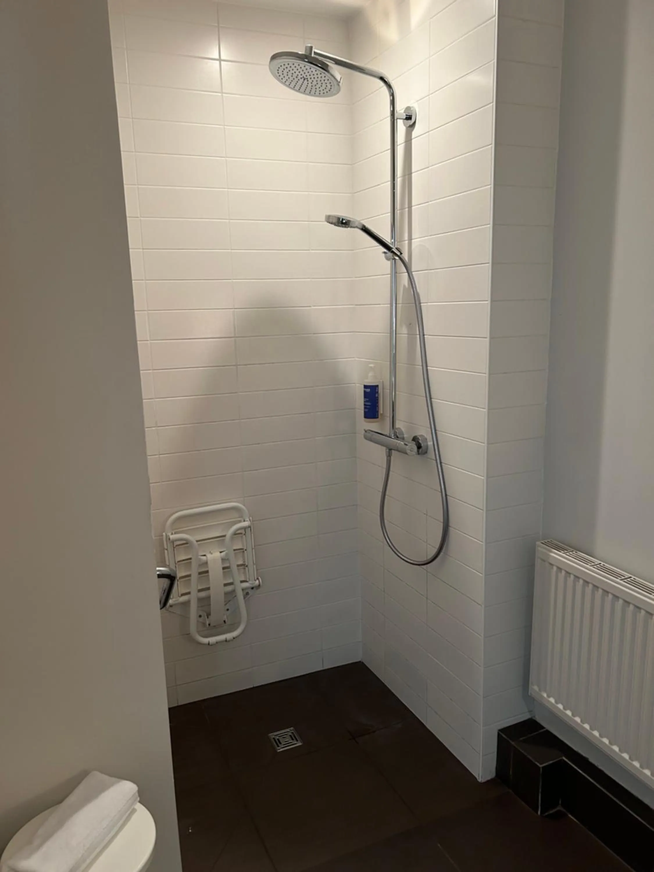 Facility for disabled guests in Hôtel De La Vallée