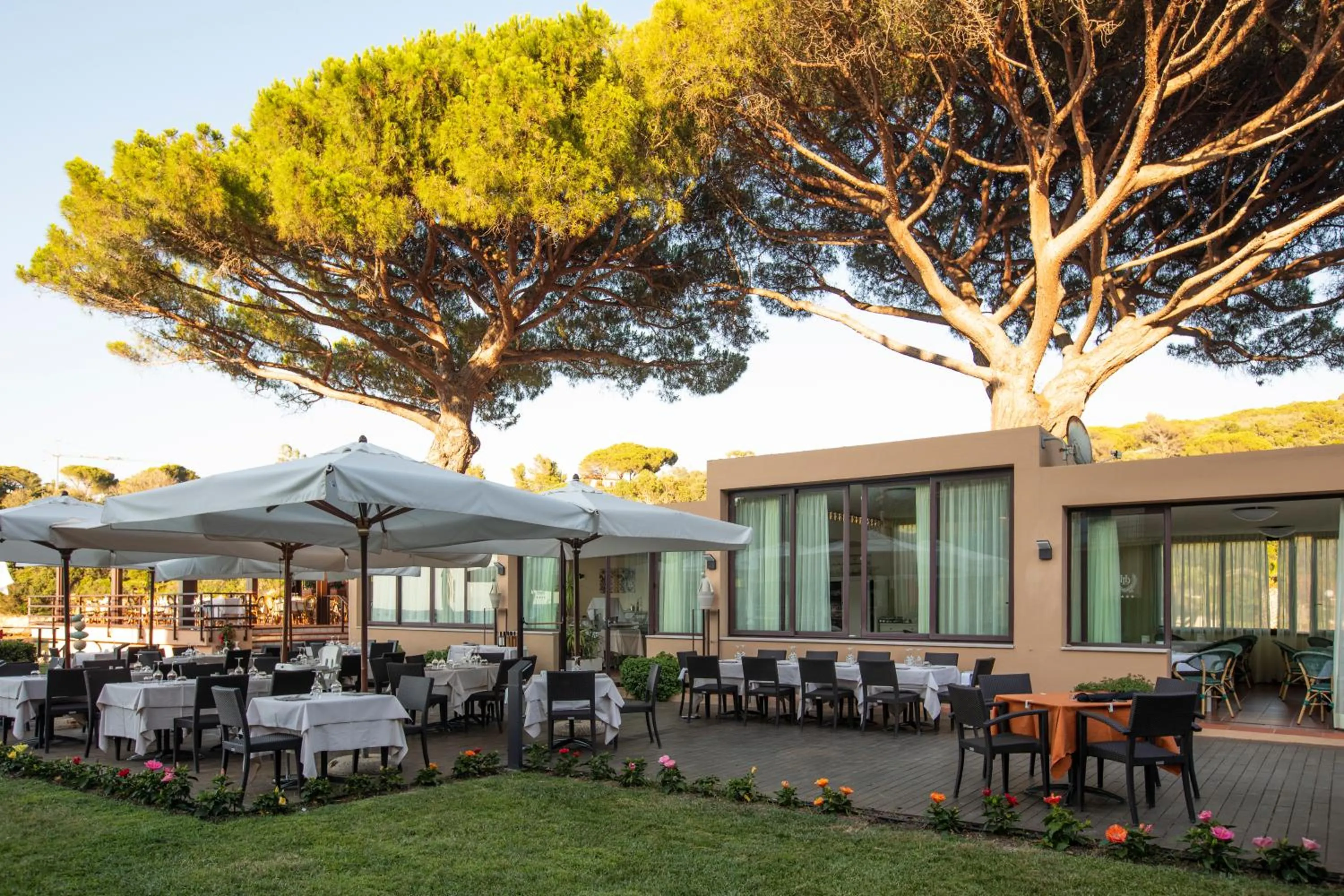 Restaurant/places to eat in Hotel Desiree