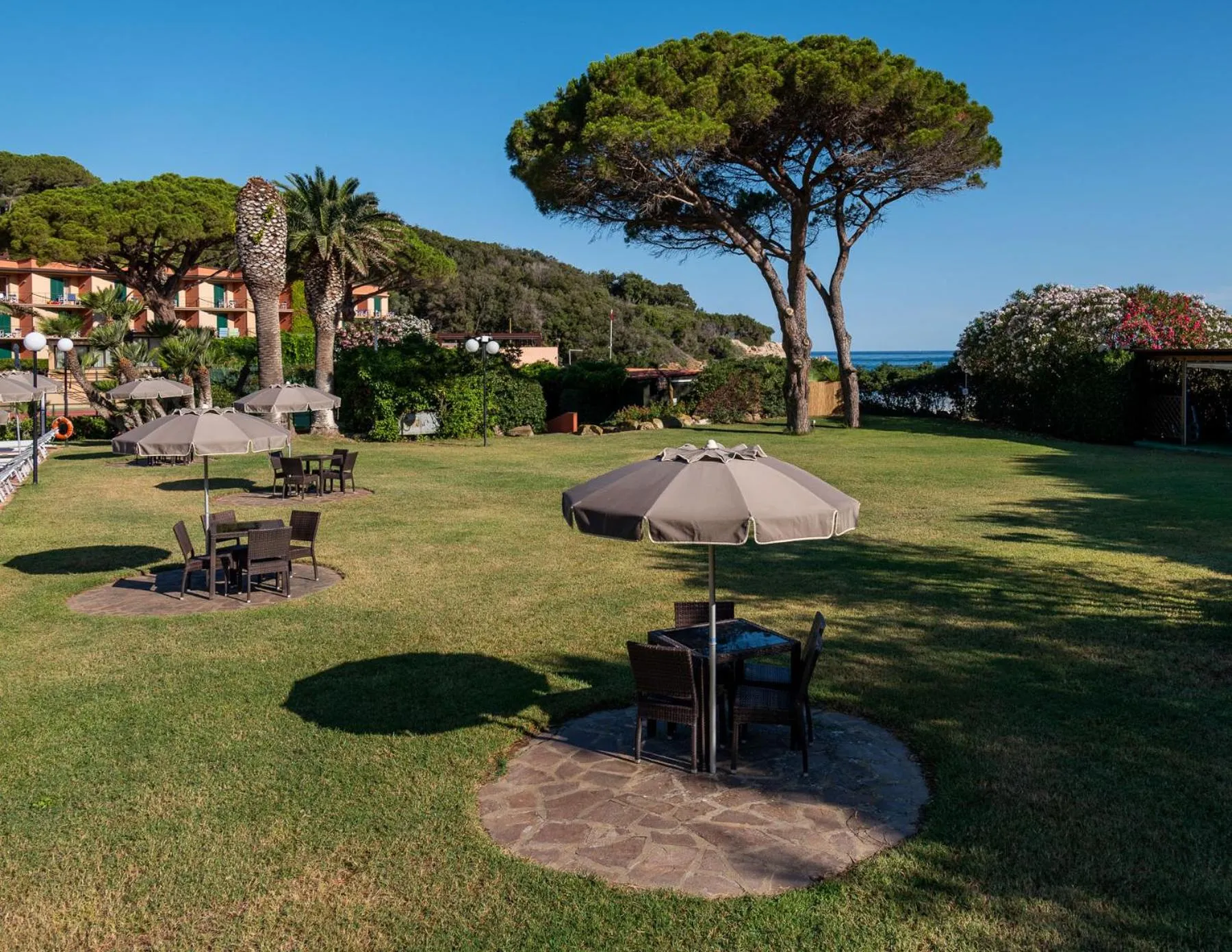 Garden in Hotel Desiree