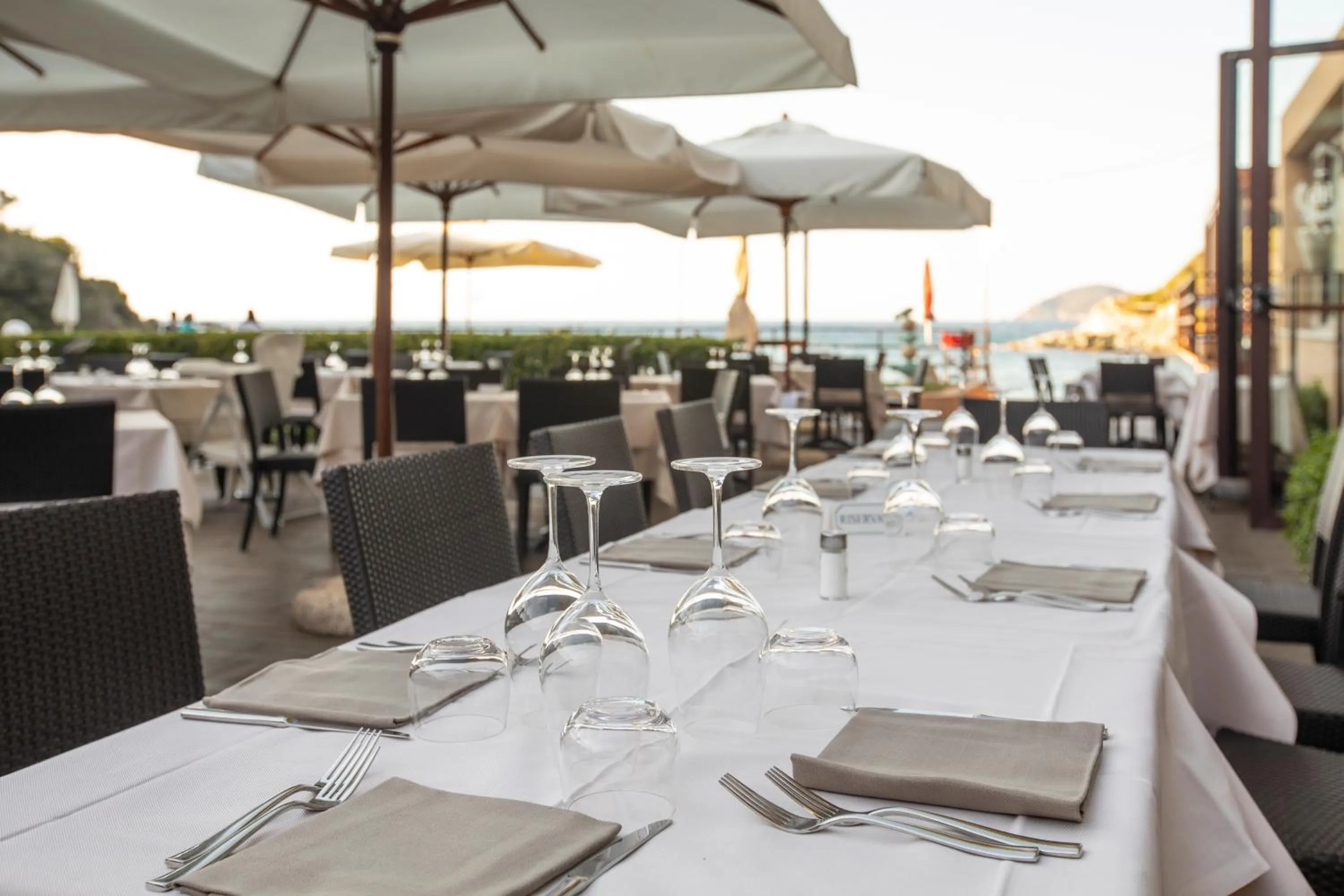 Restaurant/places to eat in Hotel Desiree