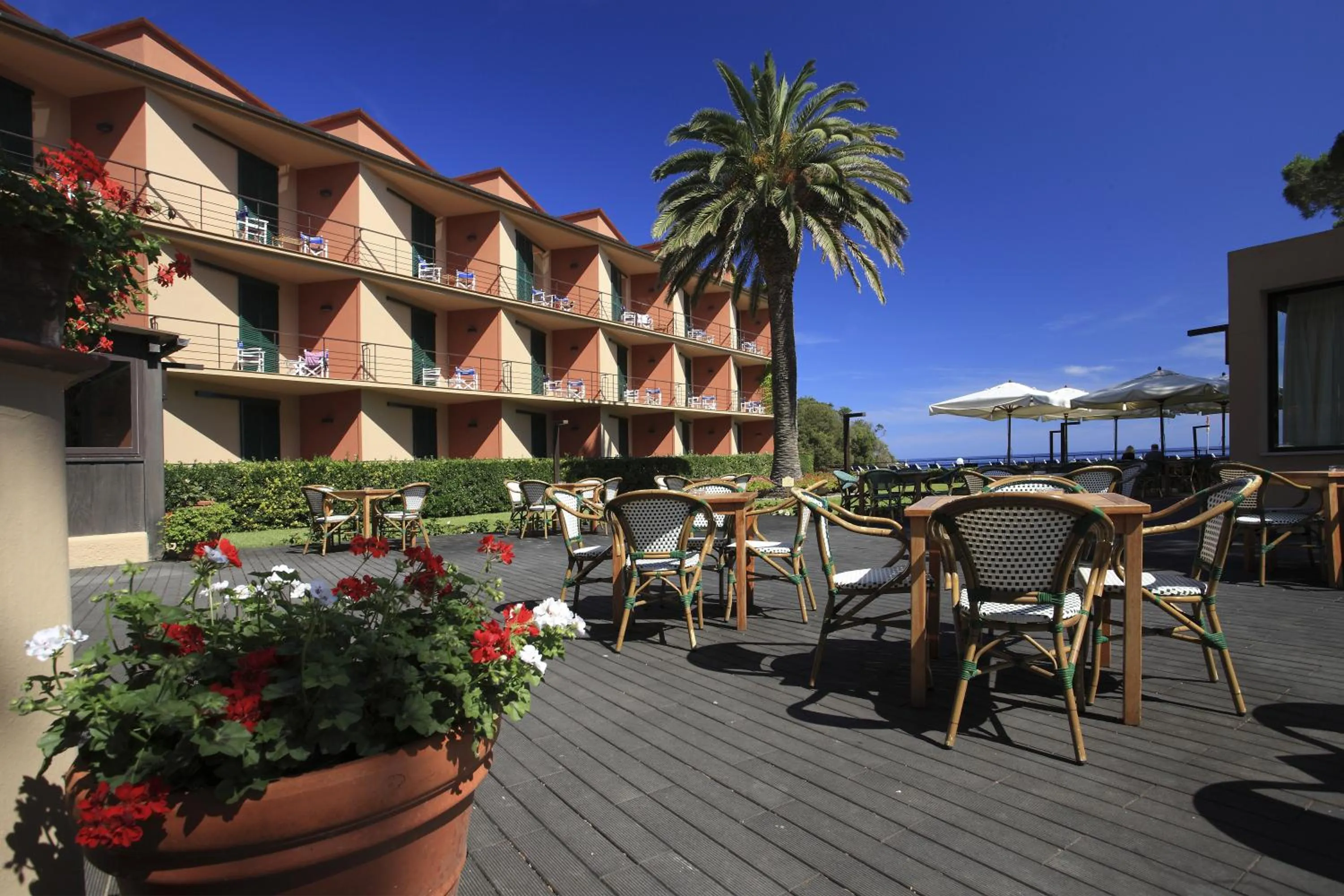 Patio in Hotel Desiree