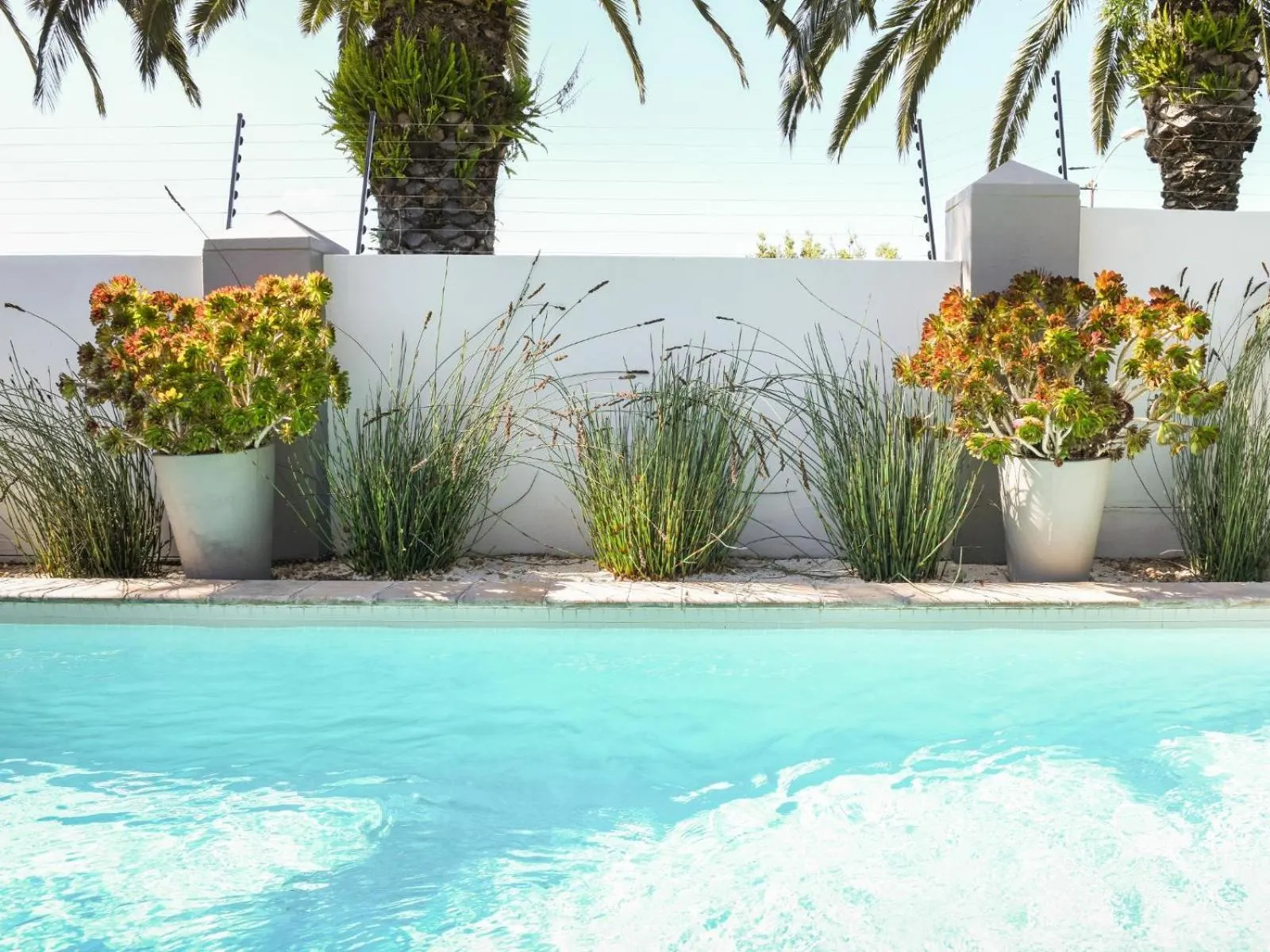 Swimming pool in Four Palms Accommodation