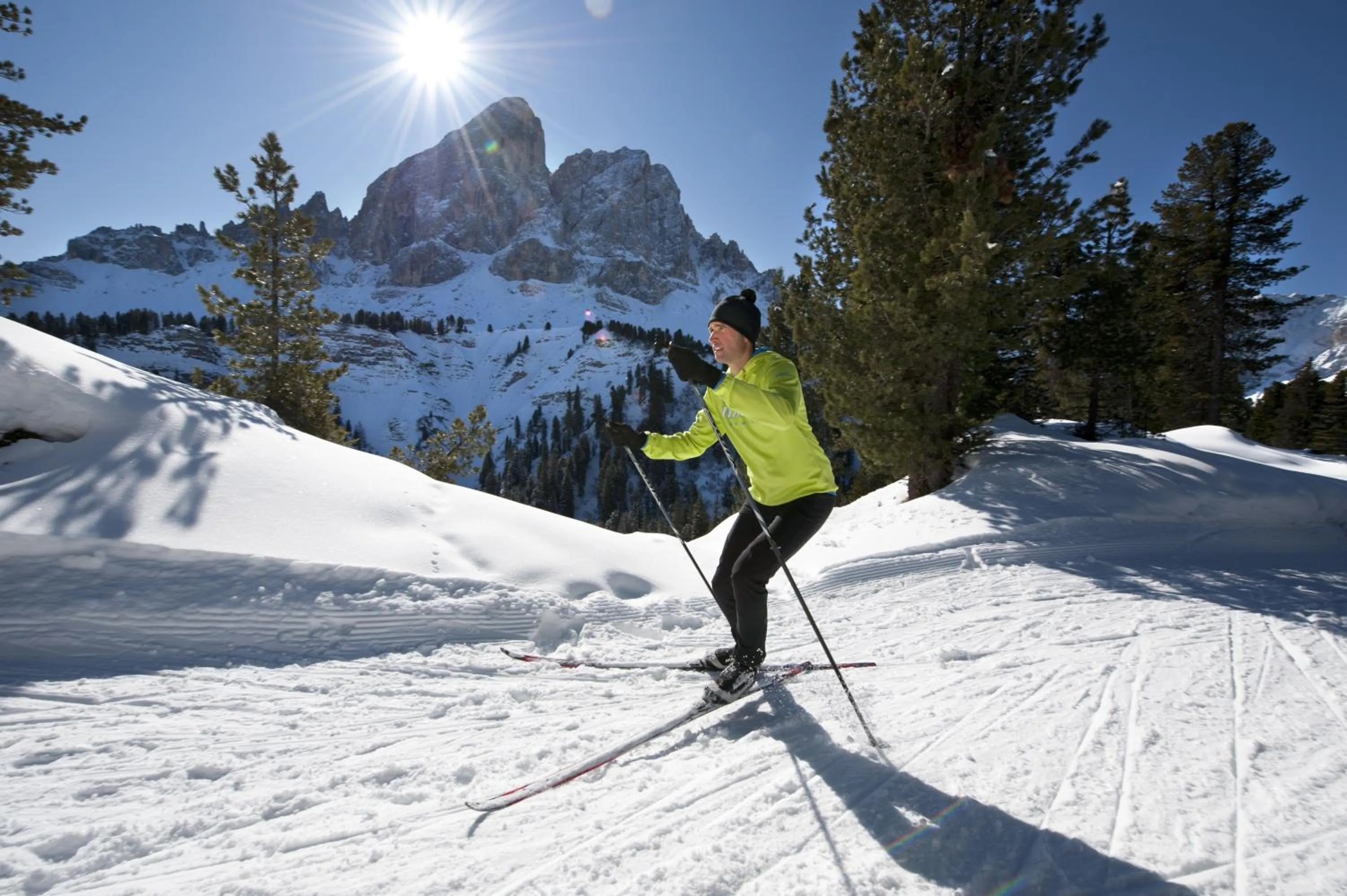 Natural landscape in Aparthotel Panorama