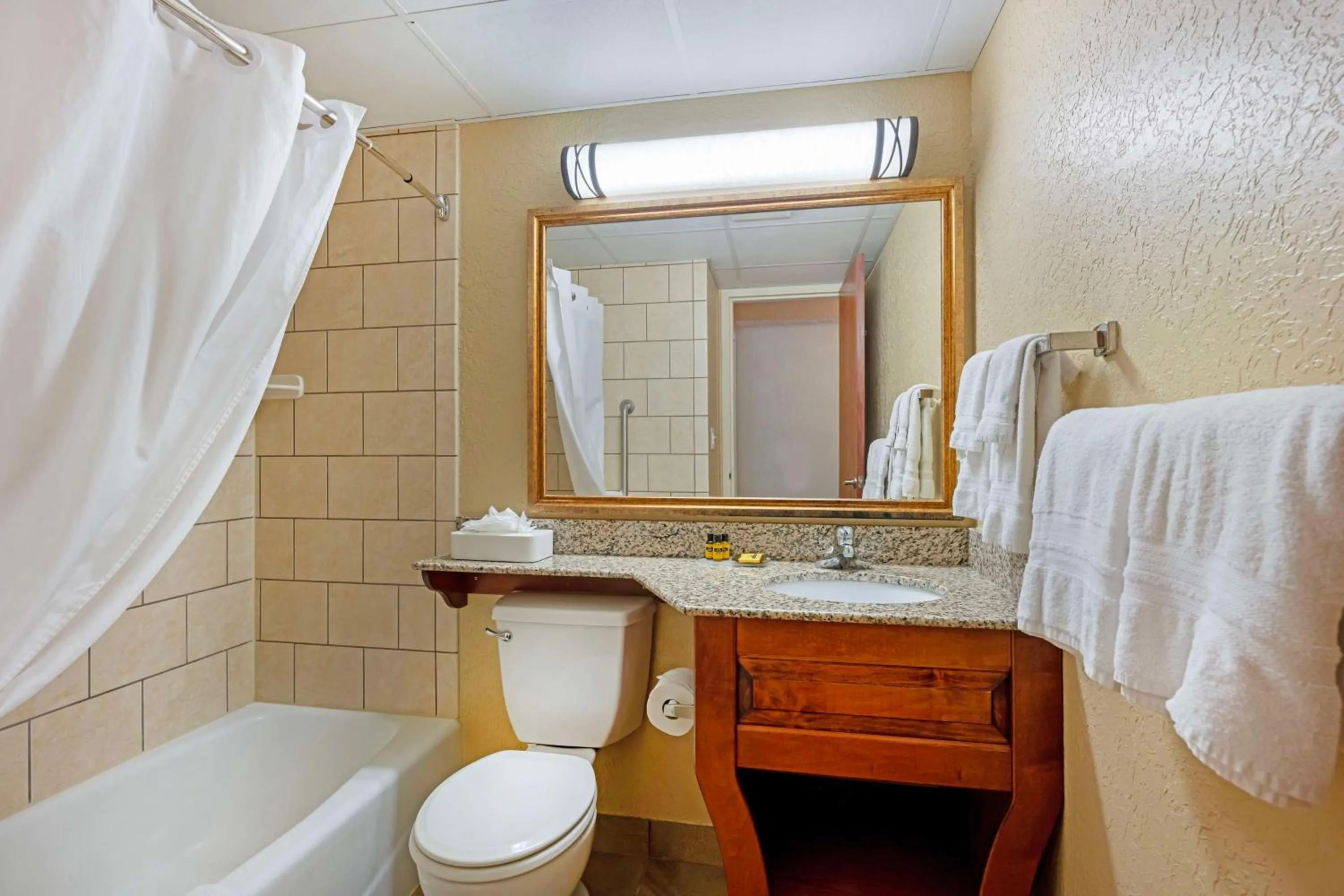 Bathroom in Best Western Plus Mid Nebraska Inn & Suites