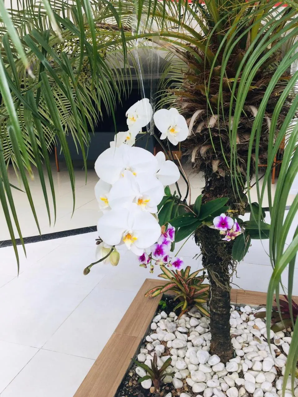 Patio in Golden Ville Hotel