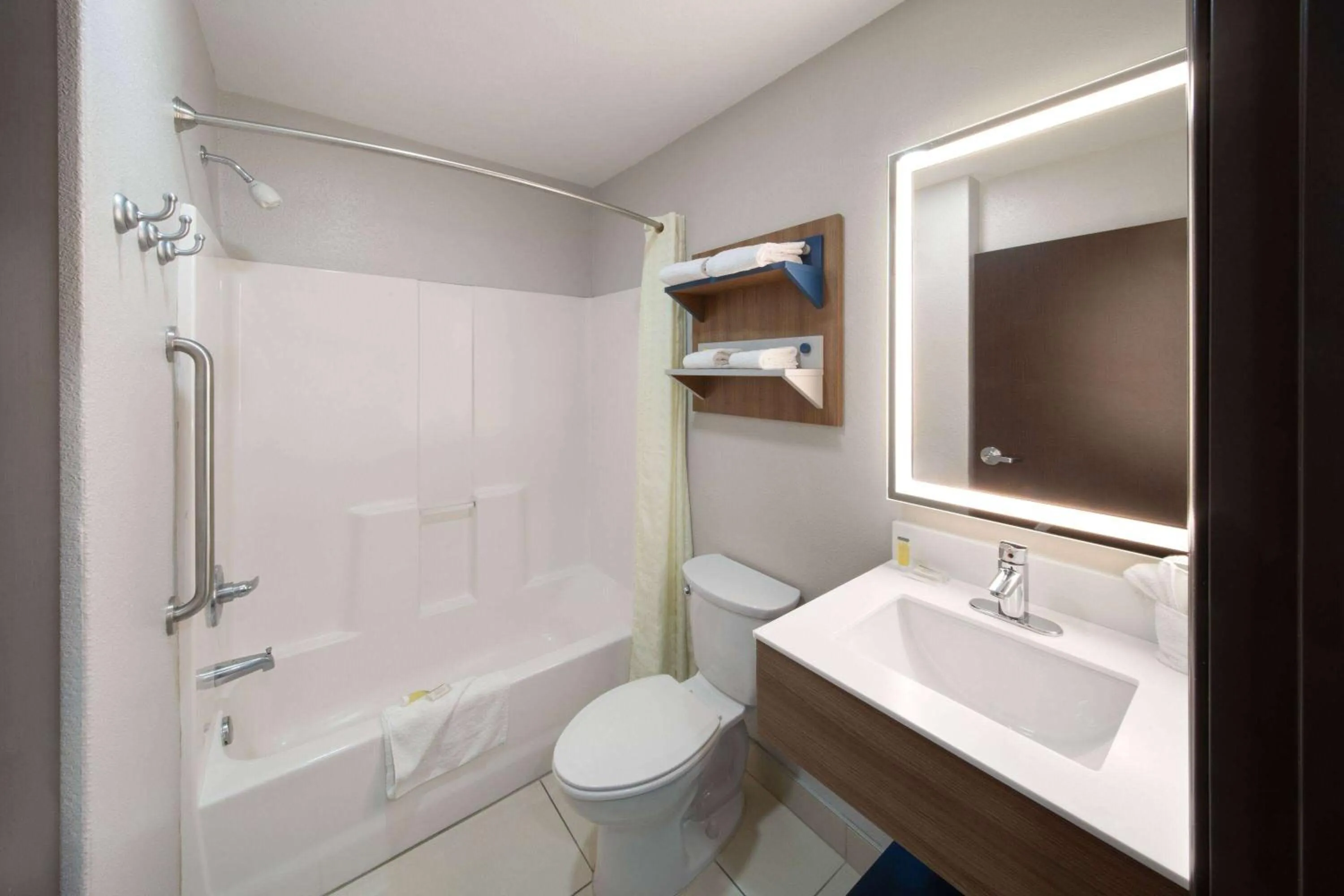 Bathroom in Microtel Inn & Suites by Wyndham Buda Austin South