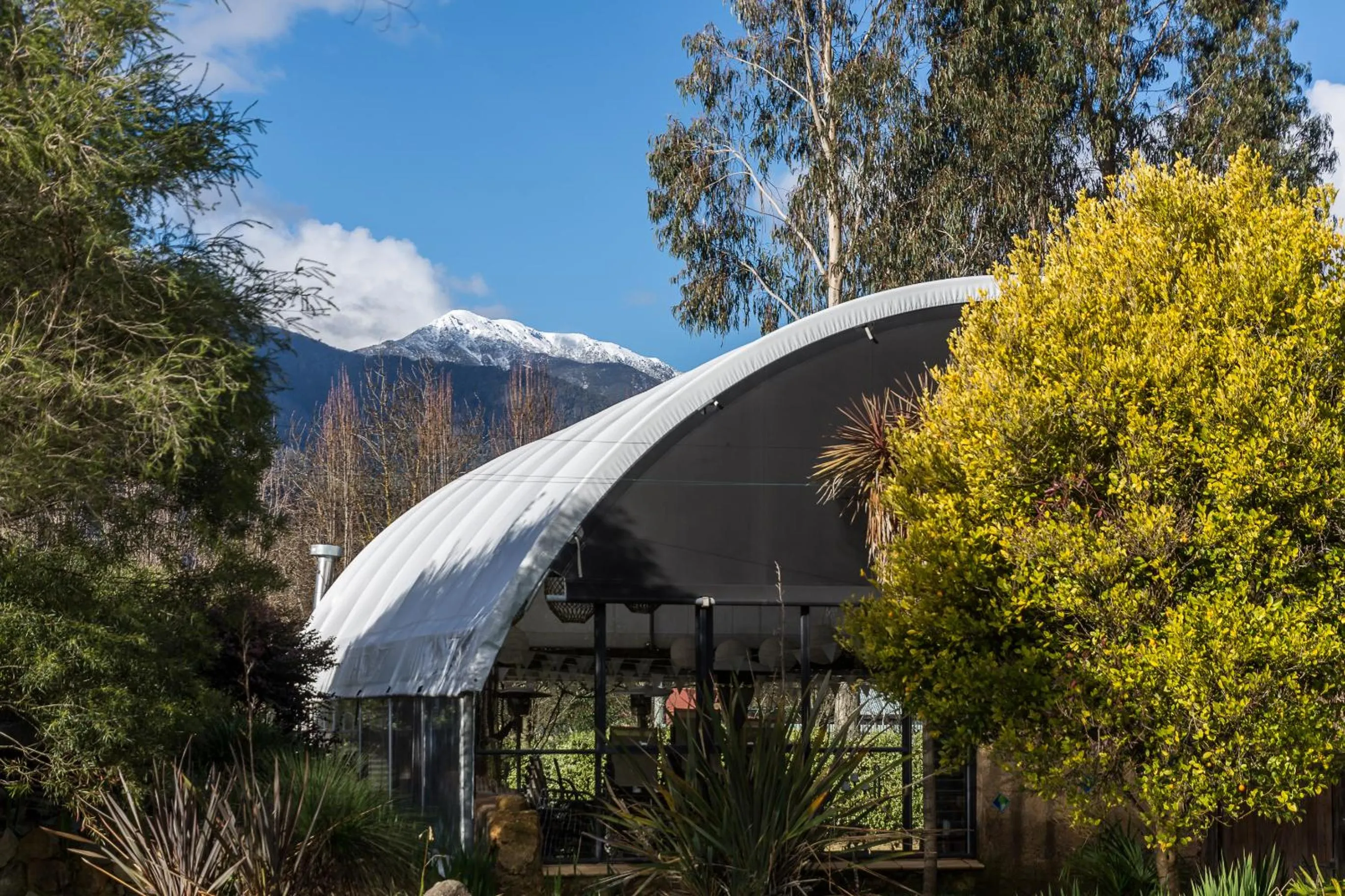 Natural landscape in Dreamers