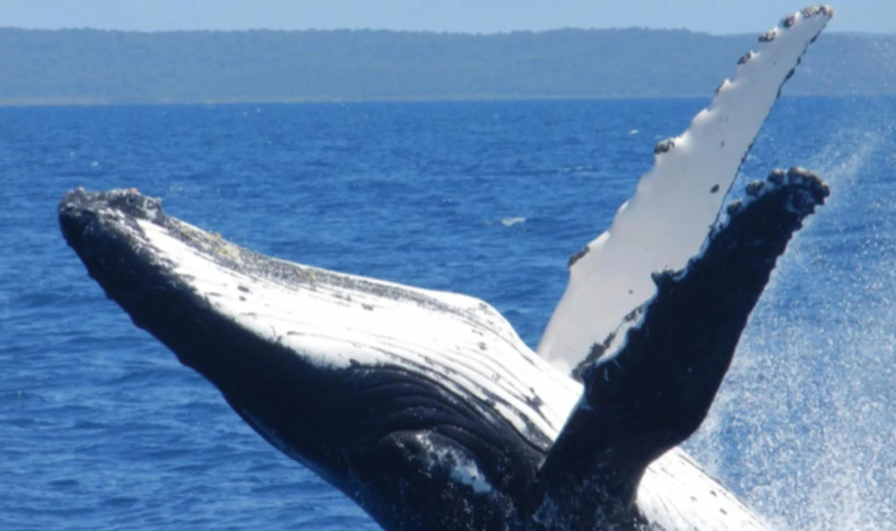 Beach in Fairways Golf & Beach Retreat Bribie Island
