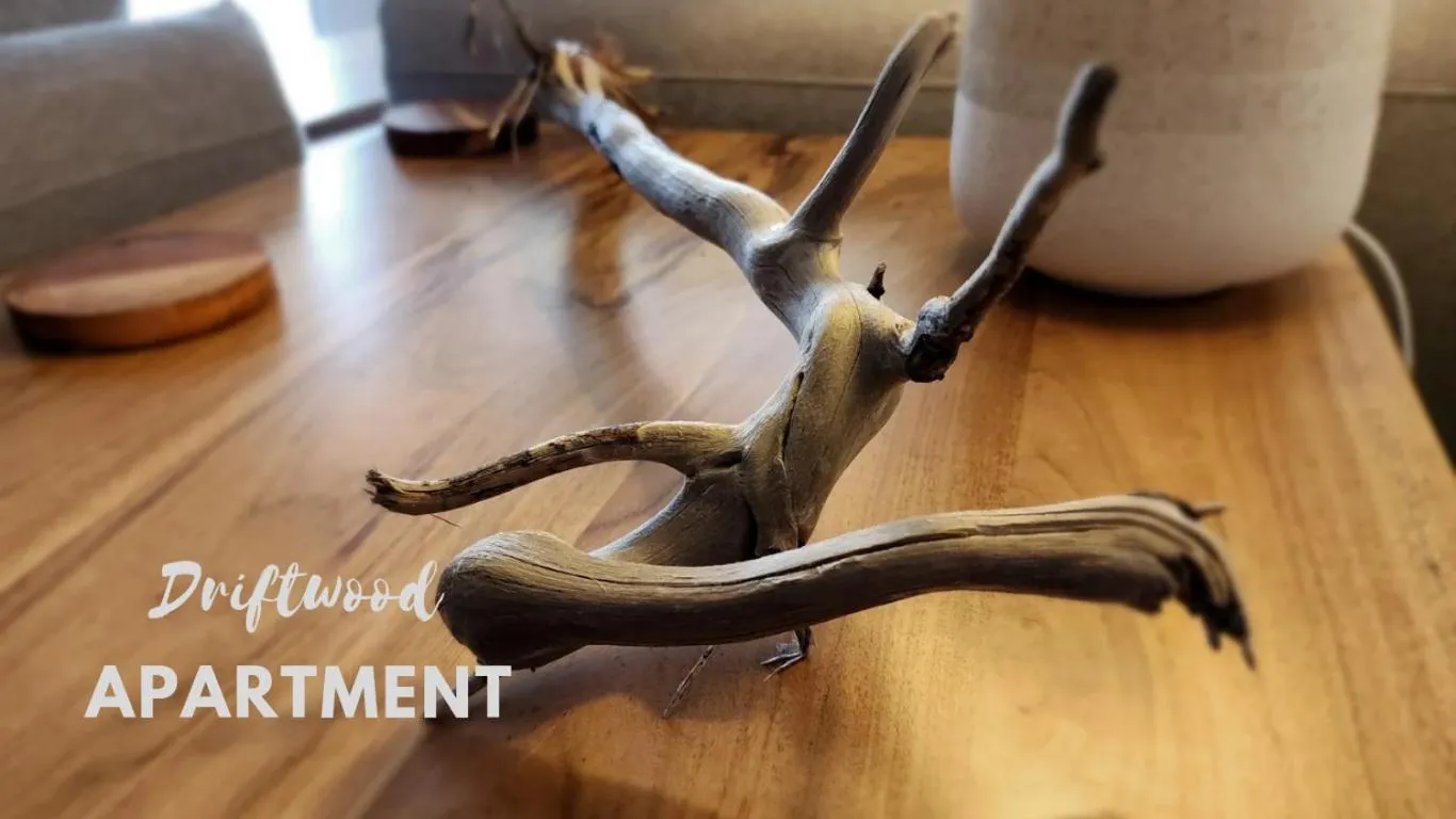 Evening entertainment in Fairways Golf & Beach Retreat Bribie Island