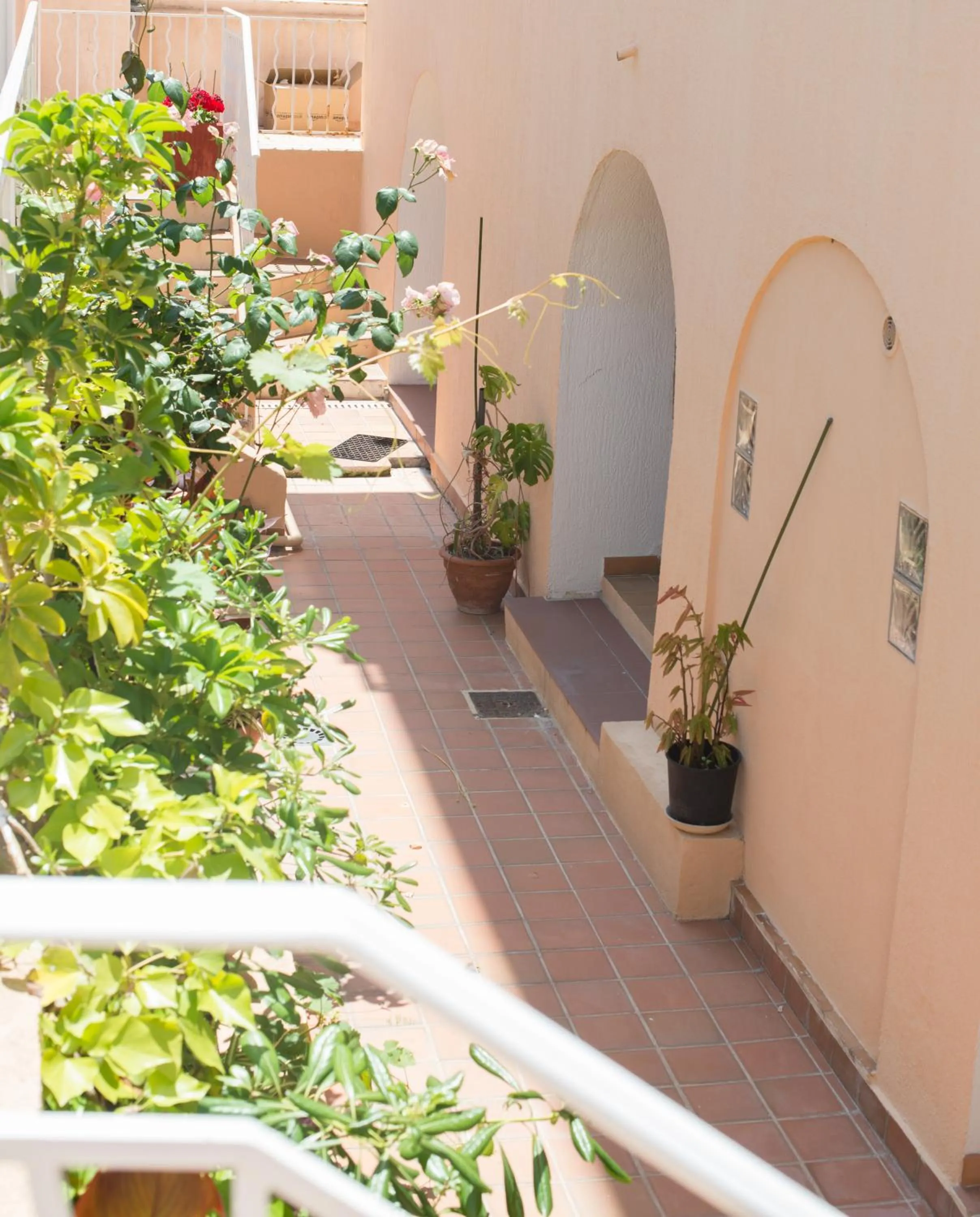 Facade/entrance in Hotel et Appartements Reine D'Azur