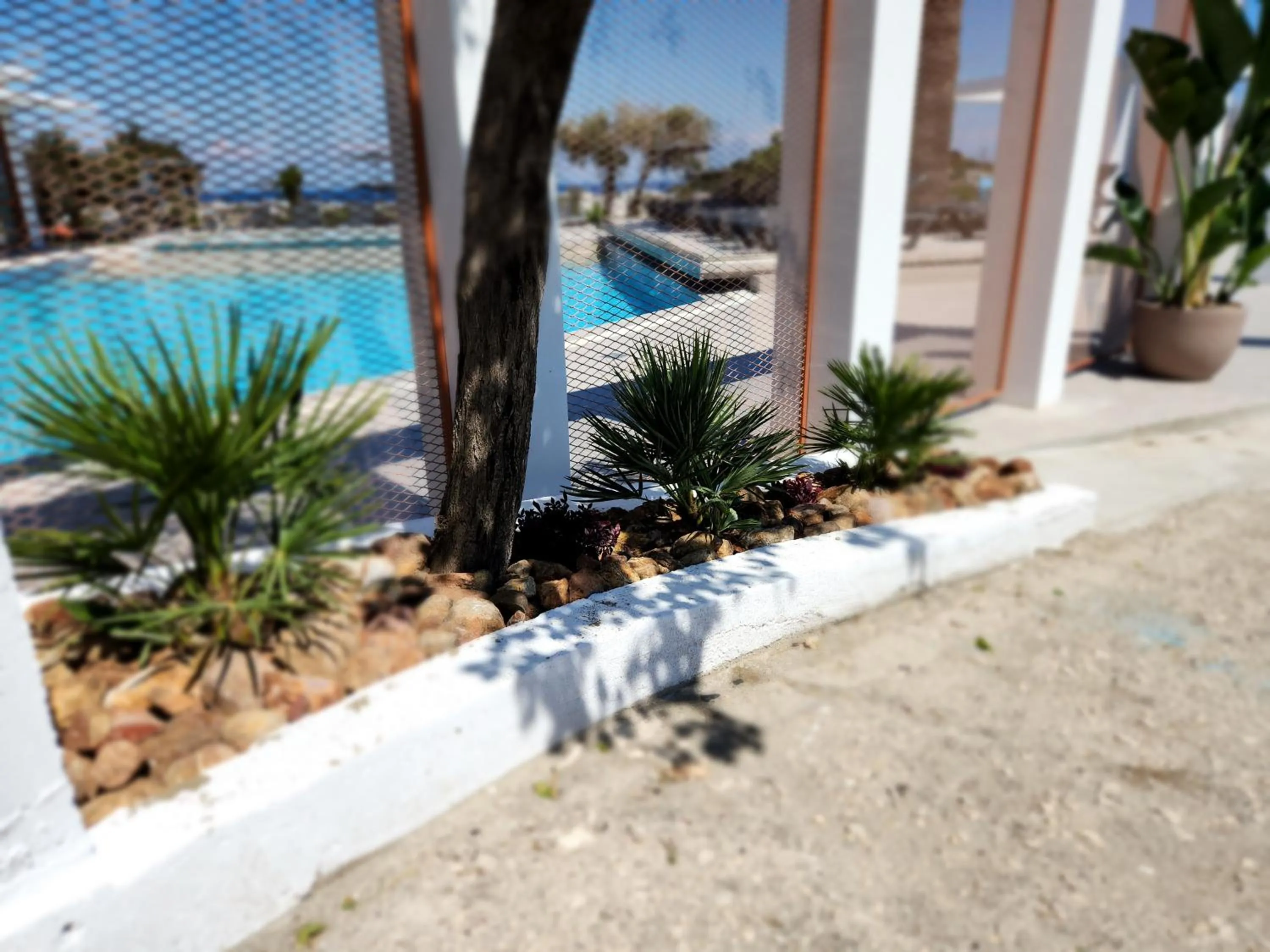 Property building in Hillside Studios & Apartments