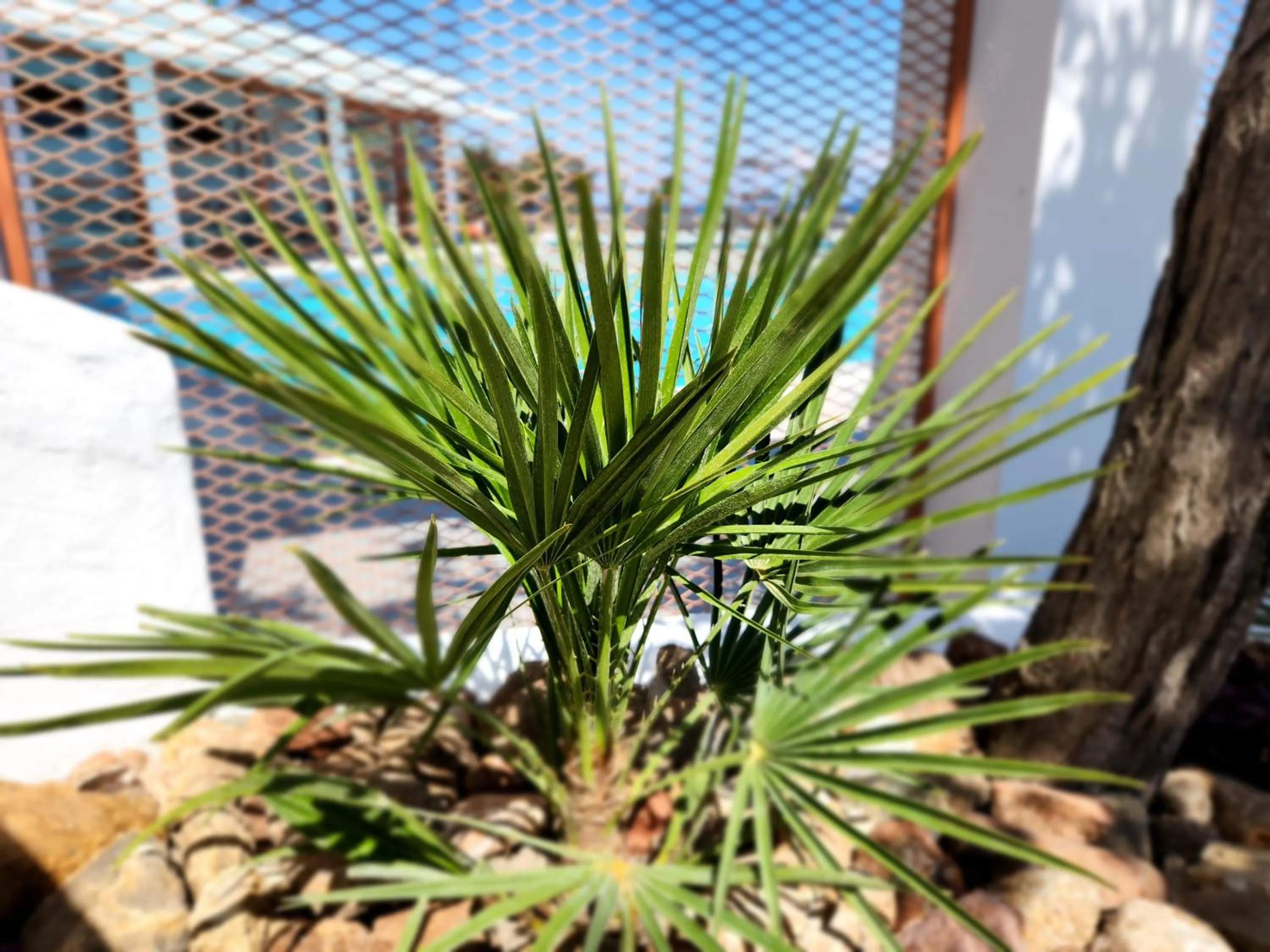 Property building in Hillside Studios & Apartments