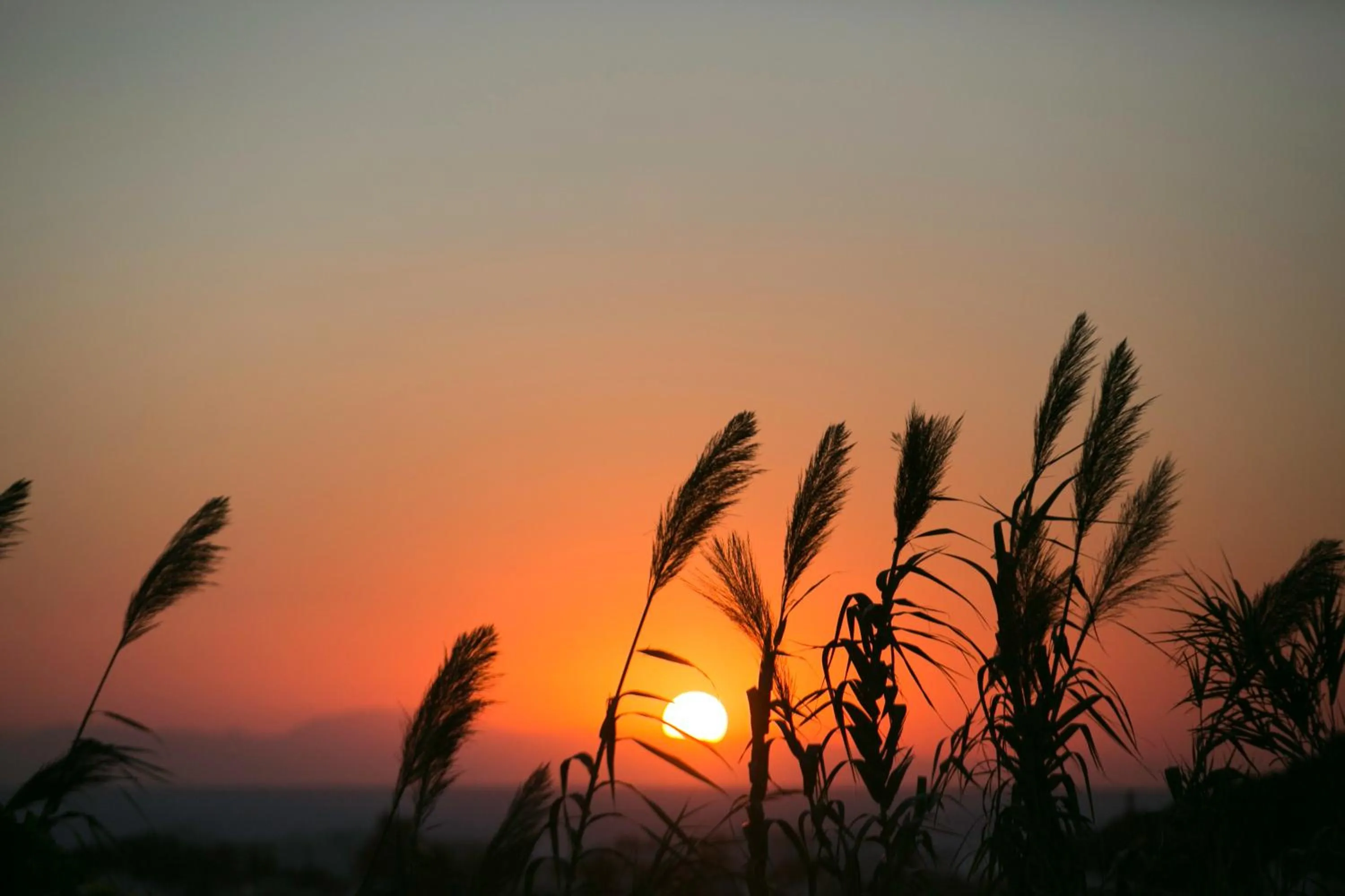 View (from property/room) in Hillside Studios & Apartments