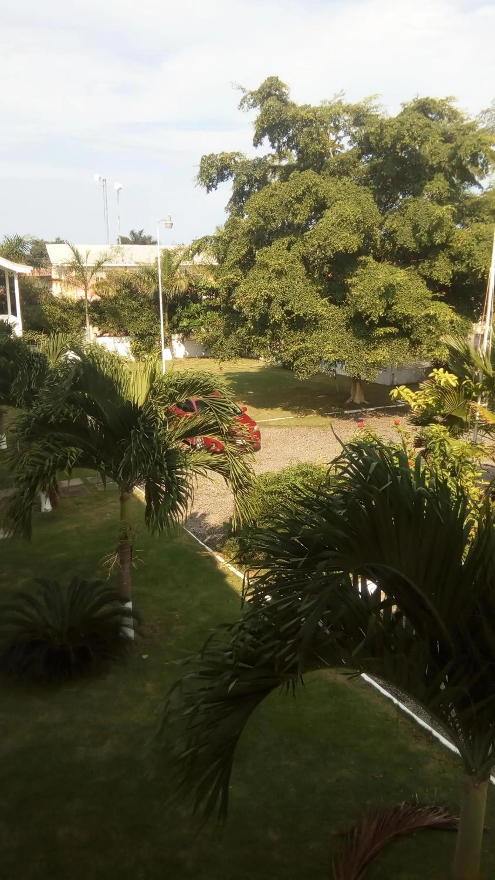 Garden view in Sea Shell Palms, Ocho Rios