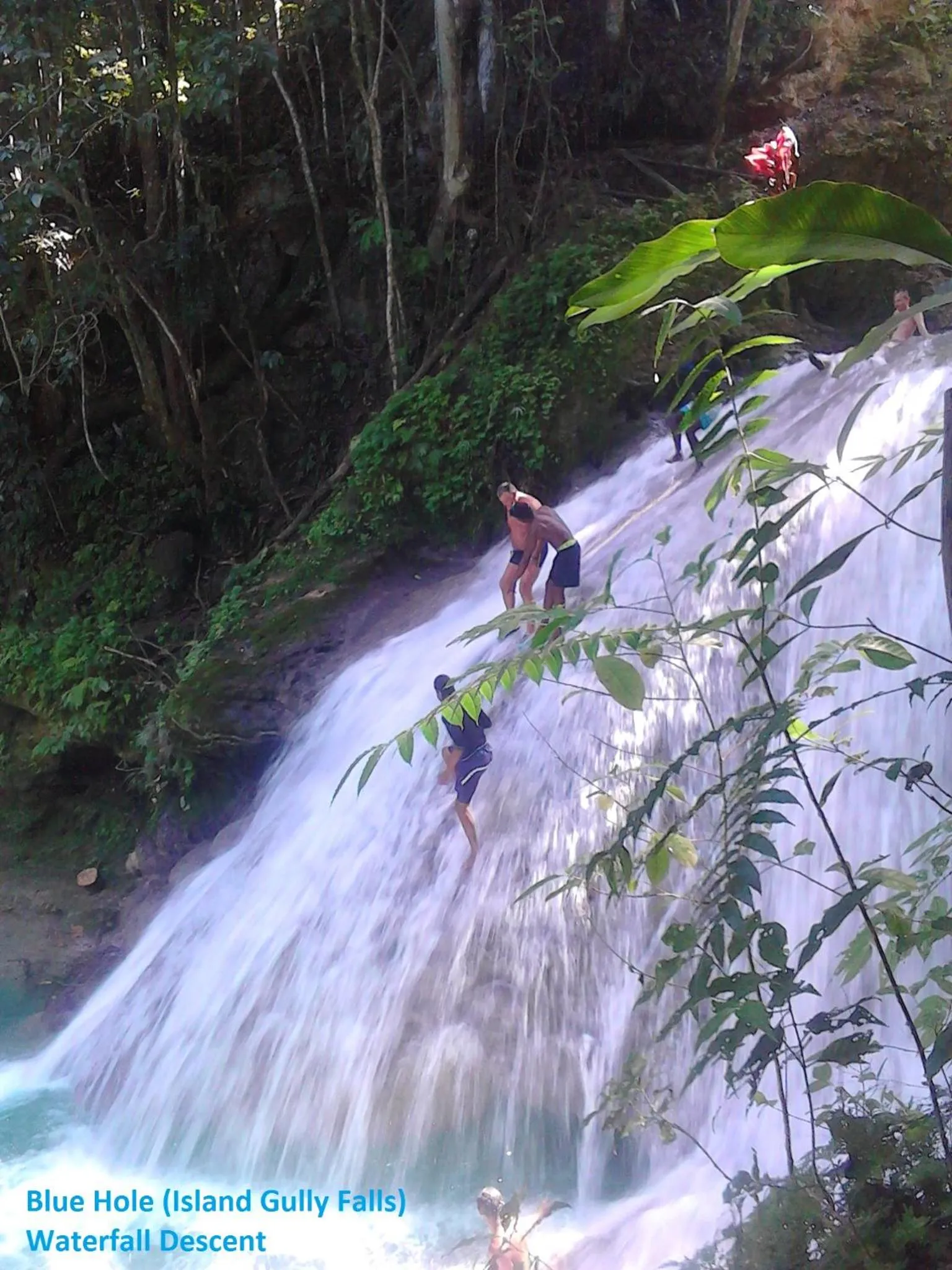Natural landscape in Sea Shell Palms, Ocho Rios