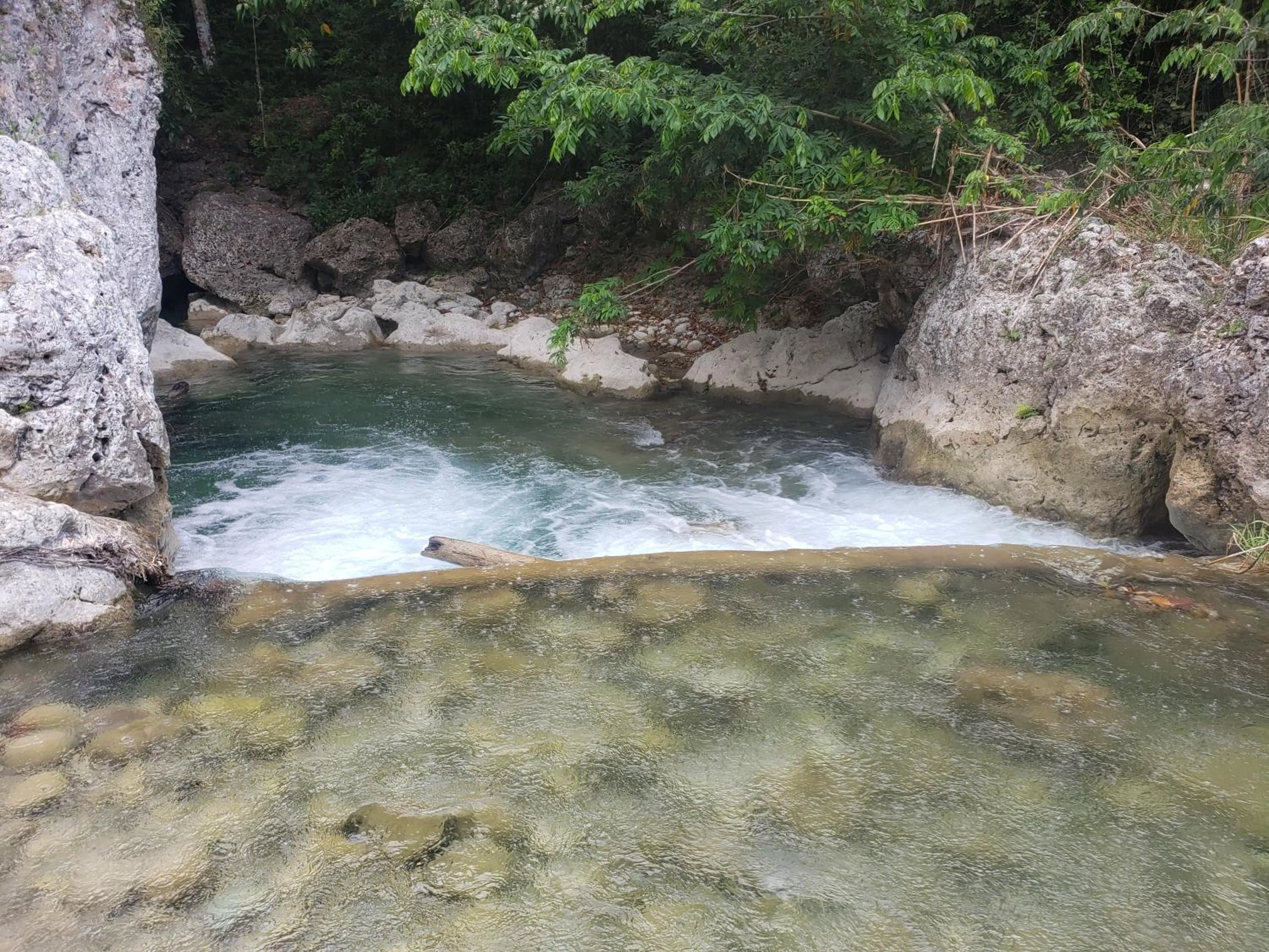 Sea Shell Palms, Ocho Rios