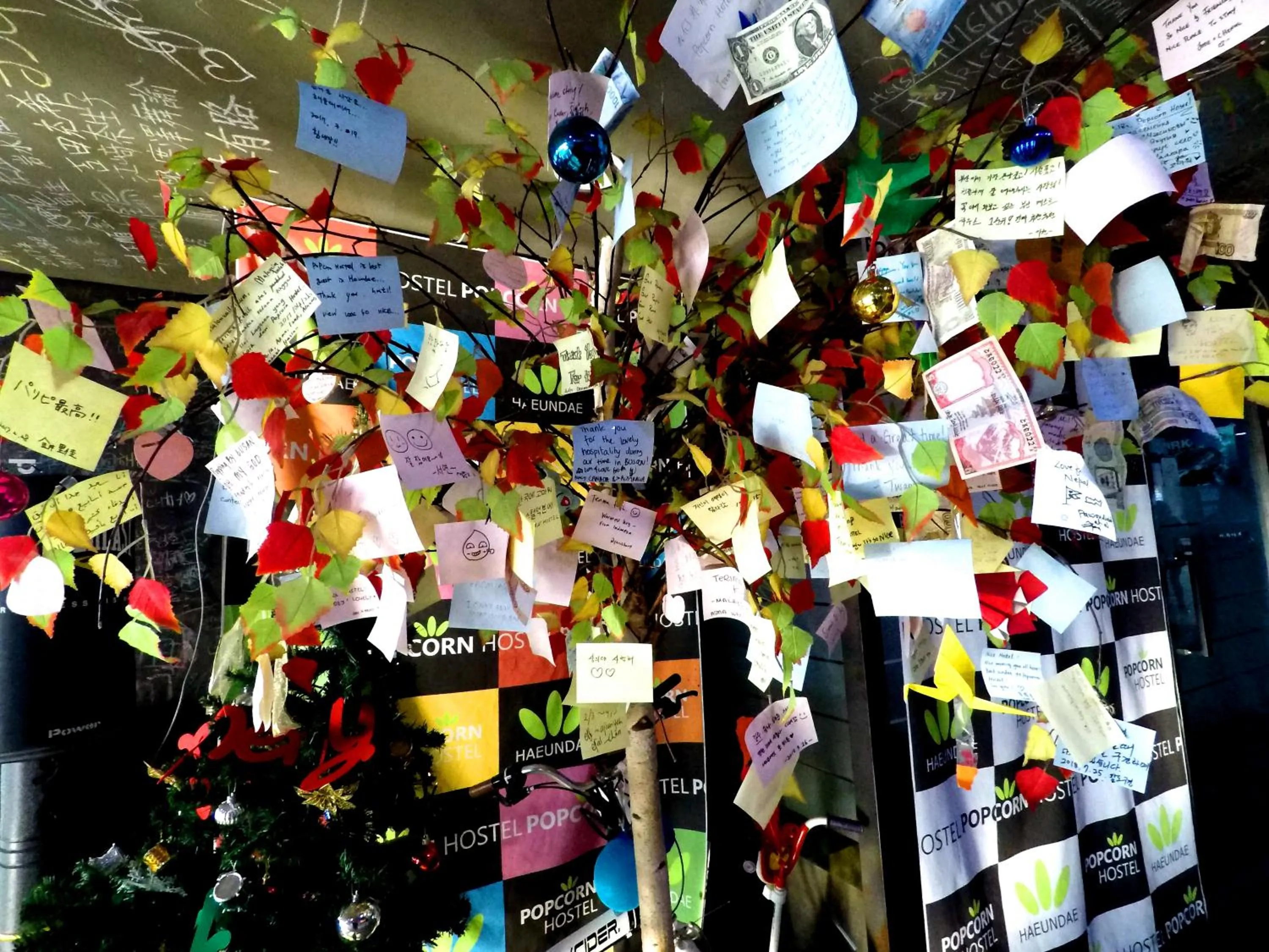 Property building in Busan Popcorn Hostel