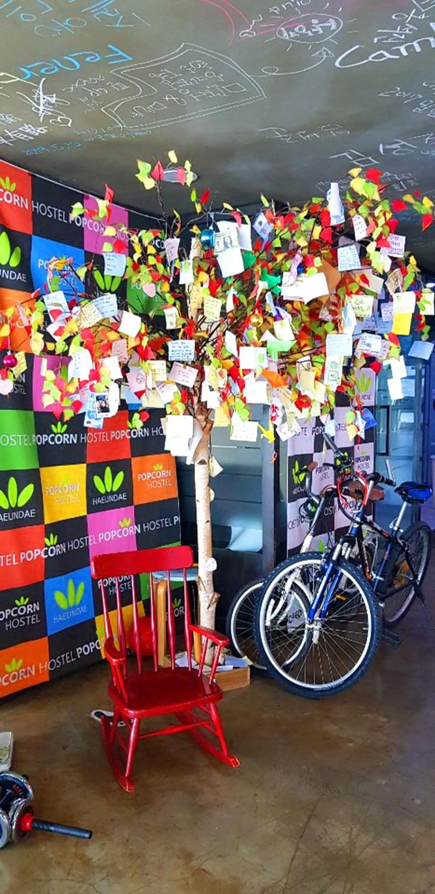 Activities in Busan Popcorn Hostel