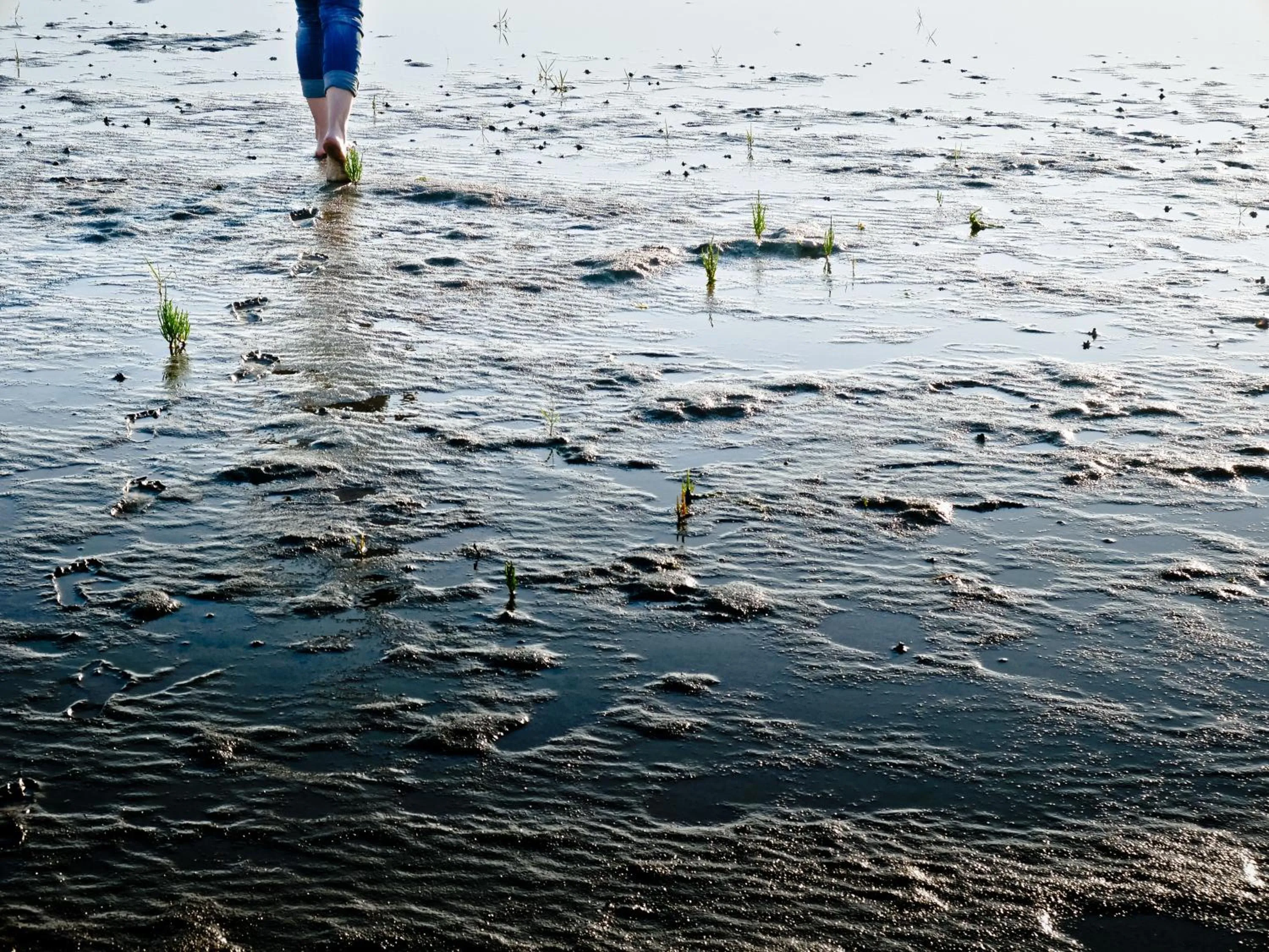 Area and facilities in Hotel und Spa Lundenbergsand