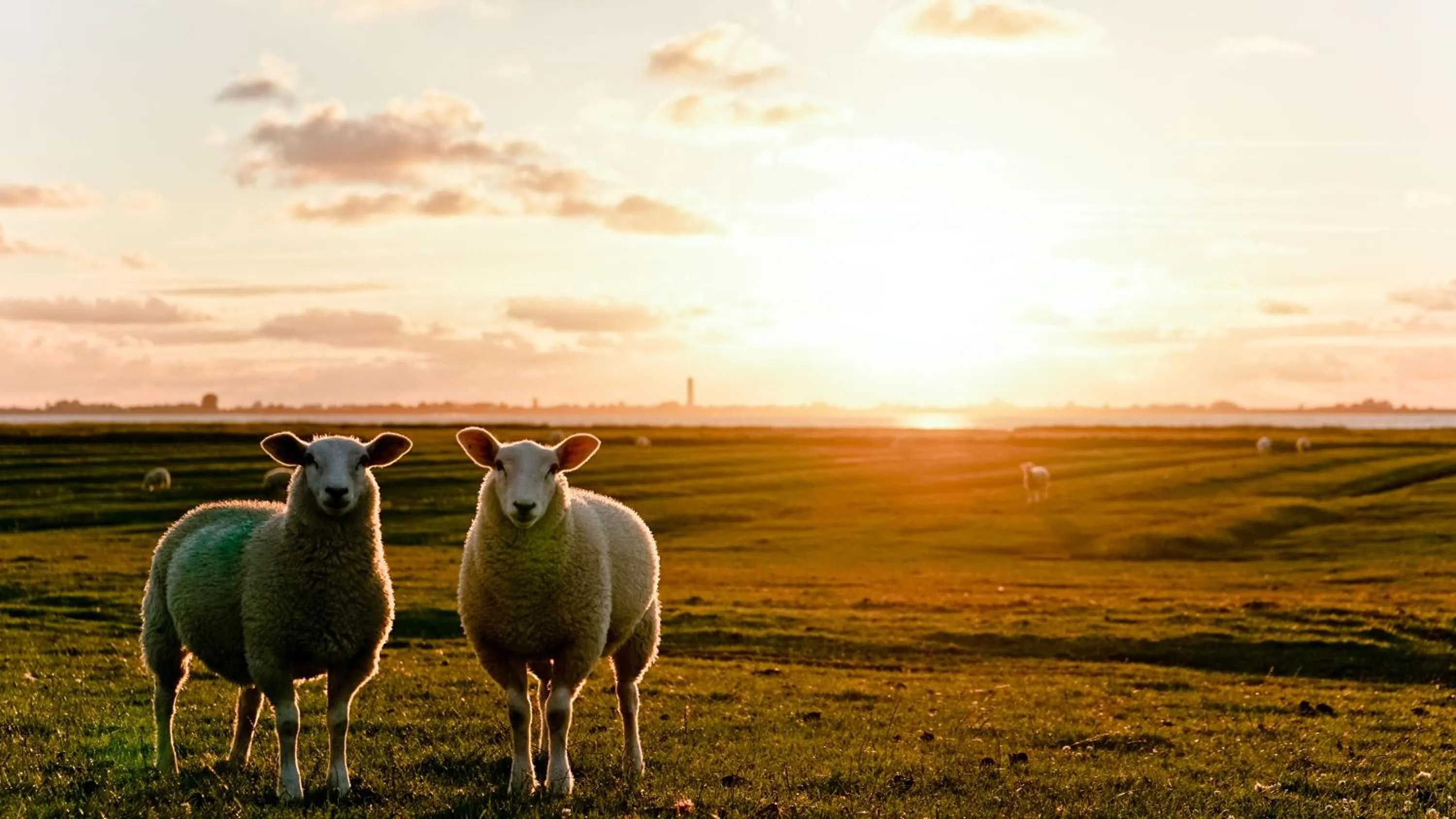 Off site in Hotel und Spa Lundenbergsand