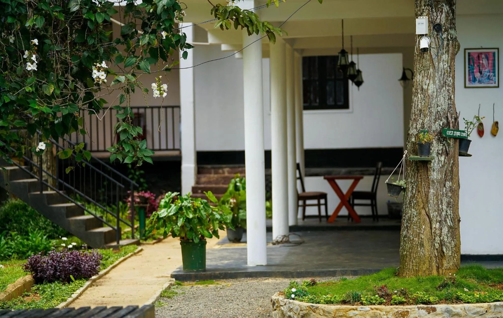 Garden in Ella Forest Paradise Hotel