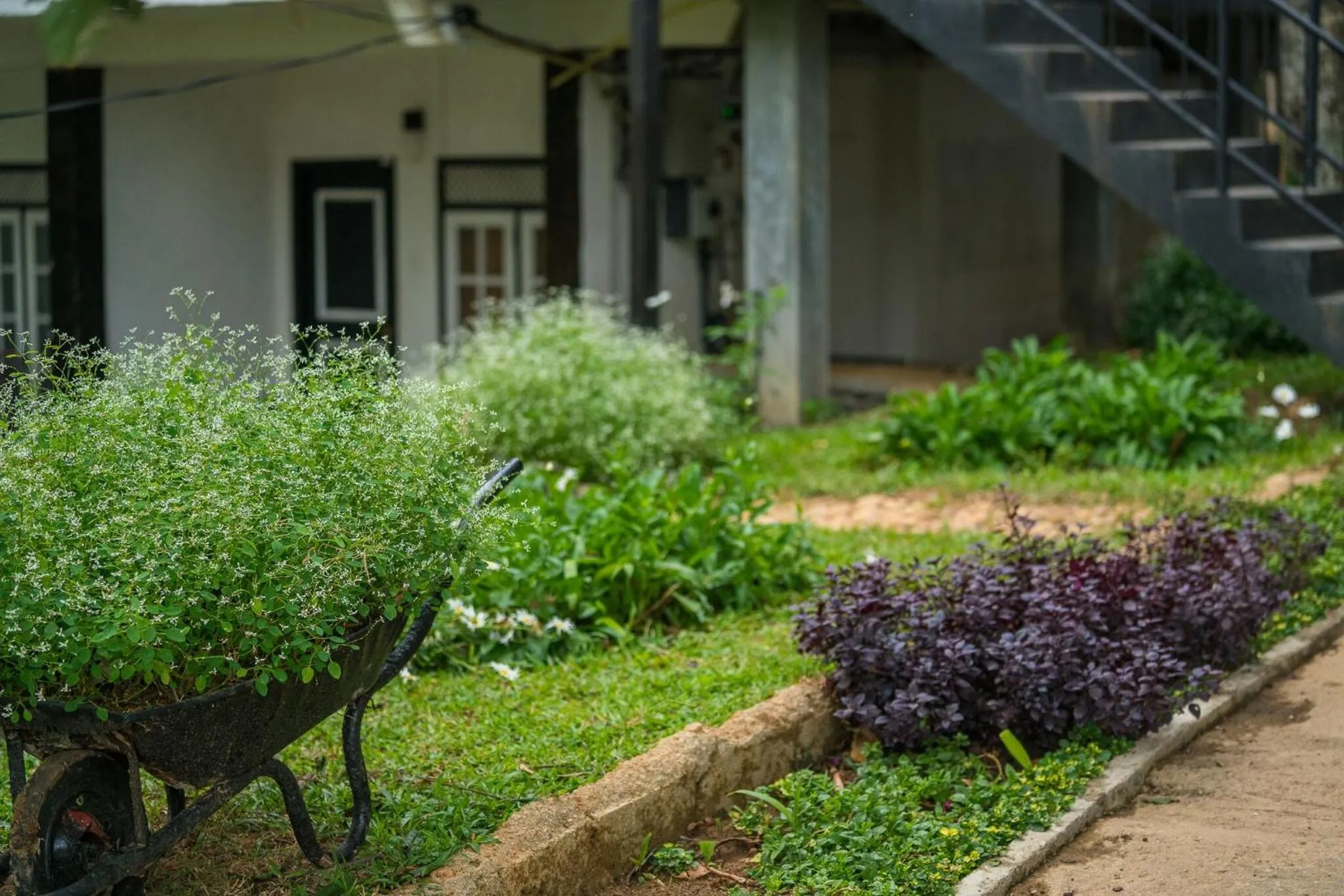 Garden in Ella Forest Paradise Hotel