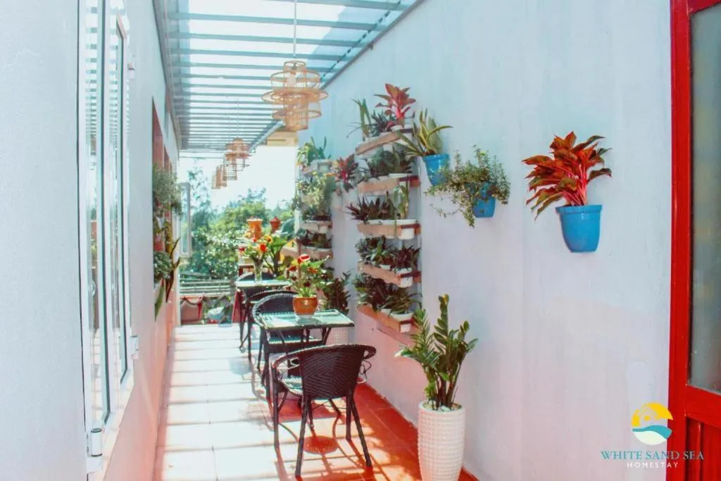 Garden in An Bang beach White Sand Sea Villa