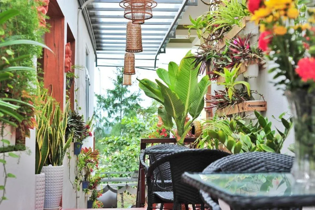 Garden in An Bang beach White Sand Sea Villa