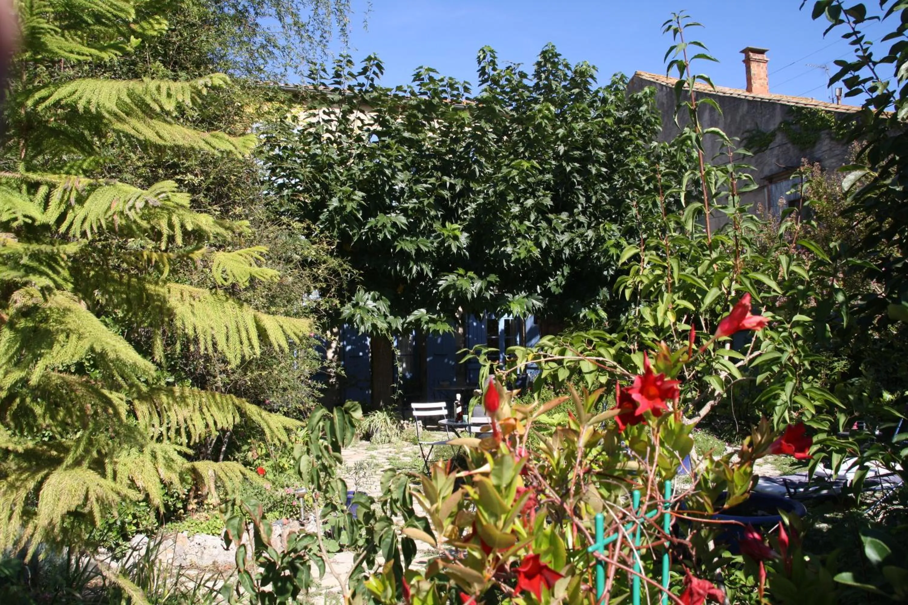Garden in Aux Pots Bleus