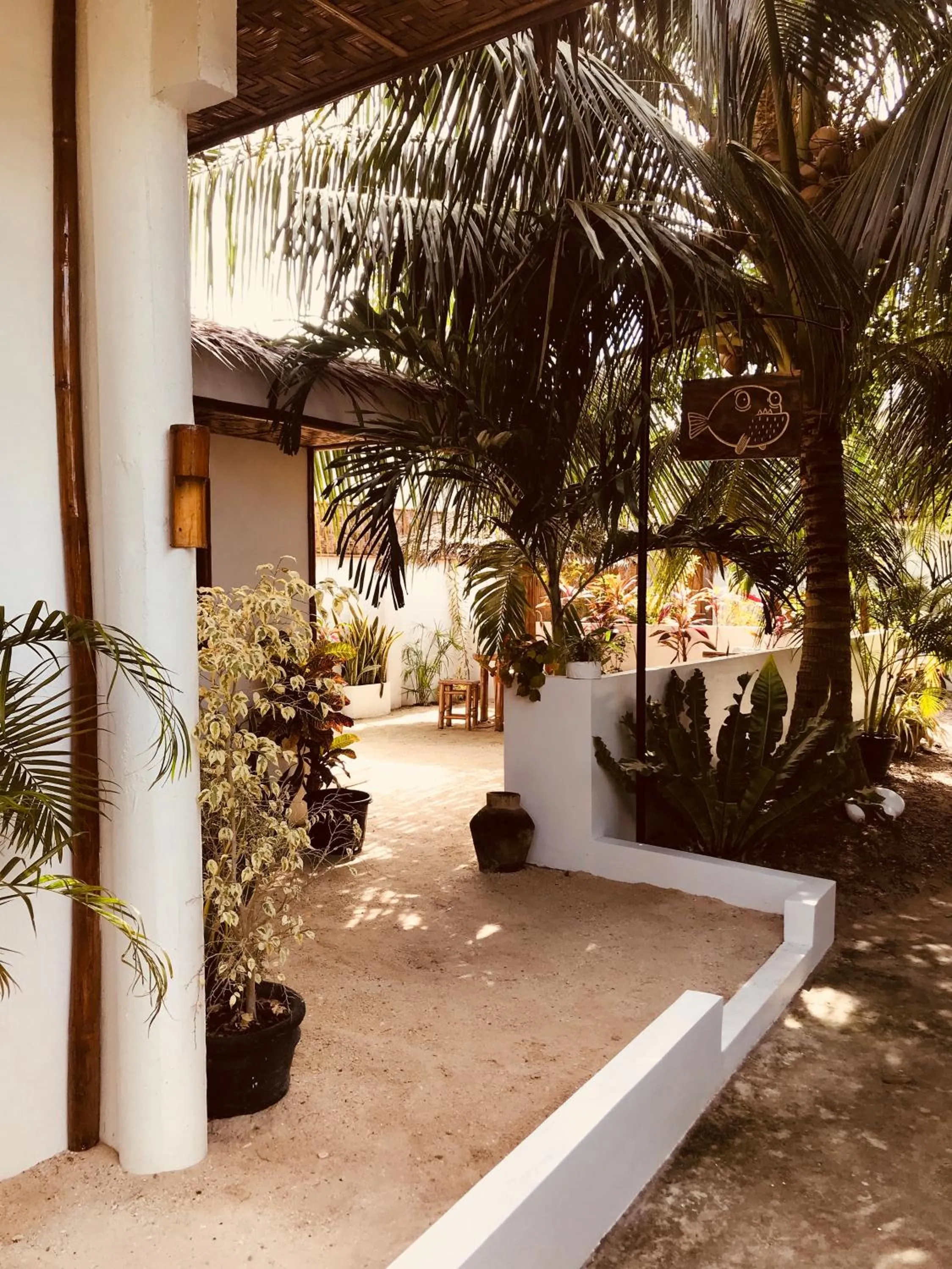 Garden view in Everyday Sunday Hotel & Cafe