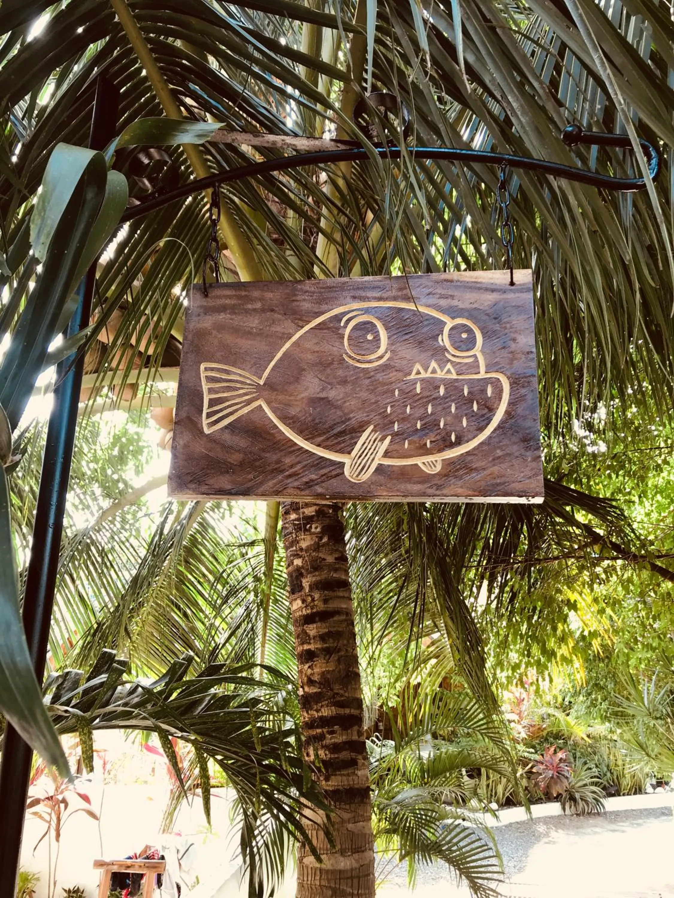 Garden in Everyday Sunday Hotel & Cafe