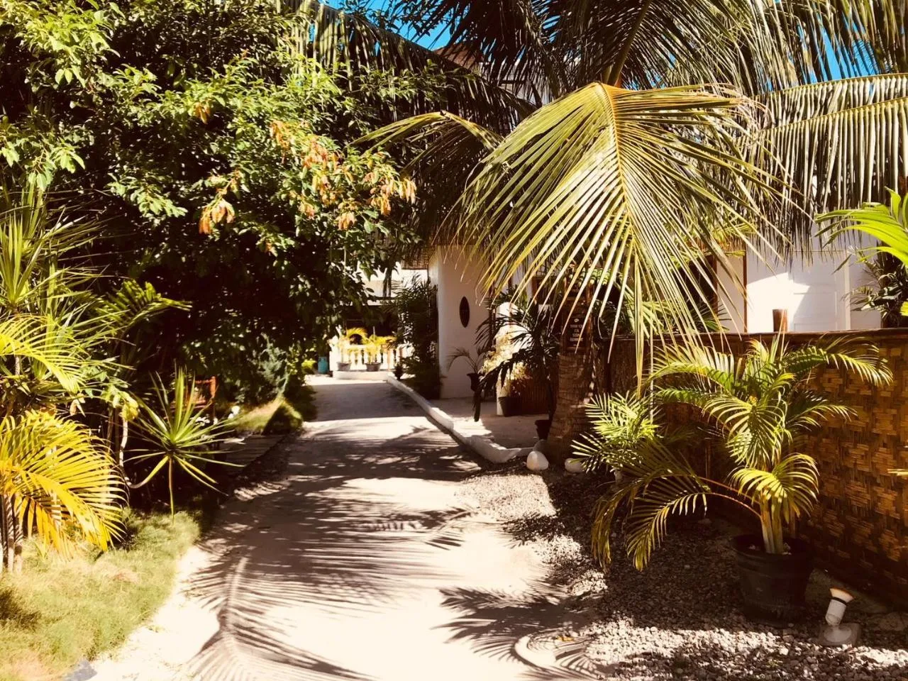 Garden view in Everyday Sunday Hotel & Cafe