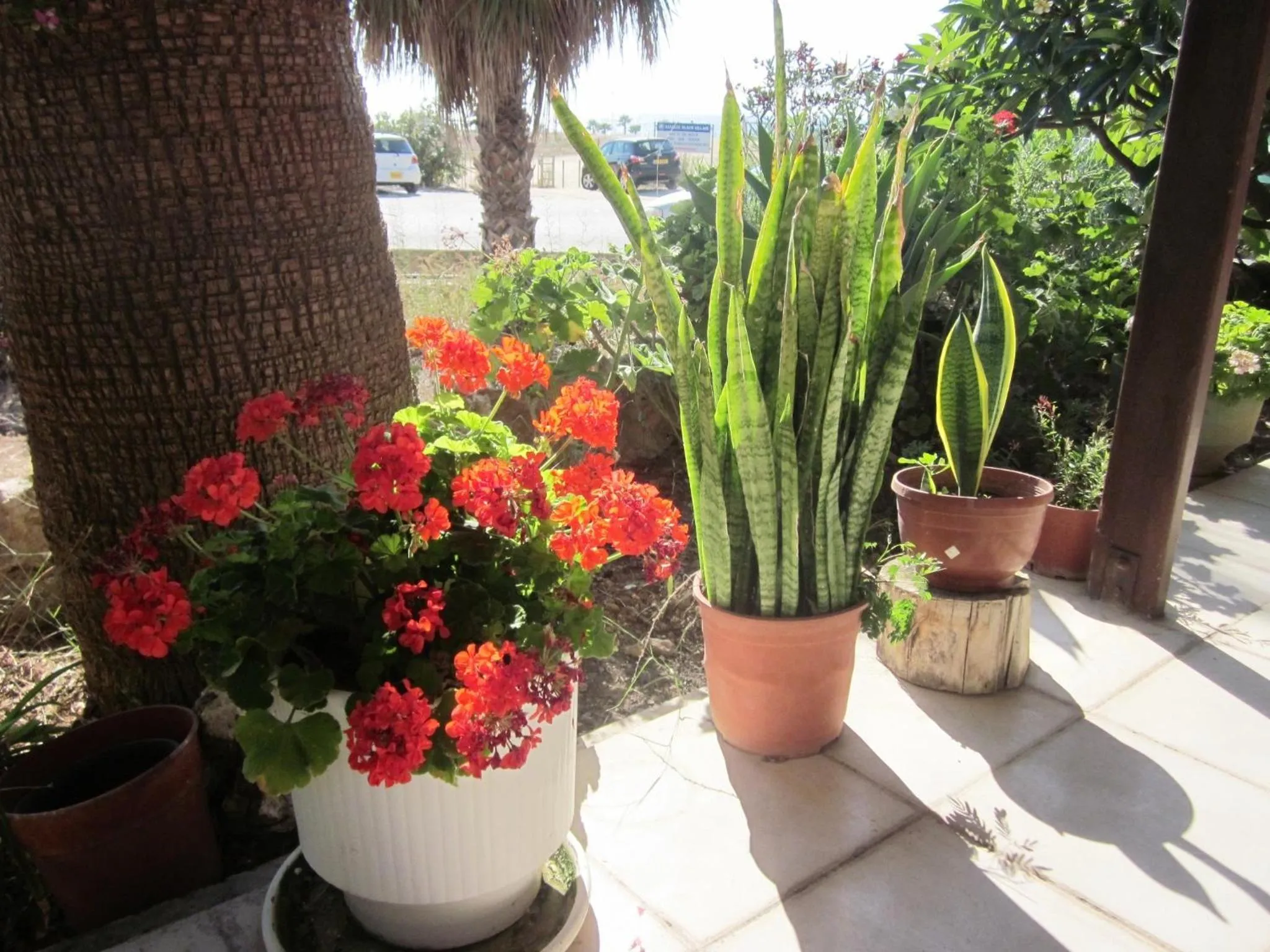 Garden in Georgia Apartments