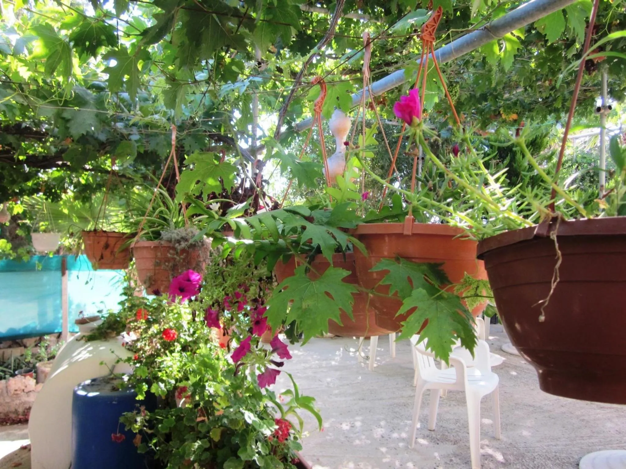 Balcony/Terrace in Georgia Apartments