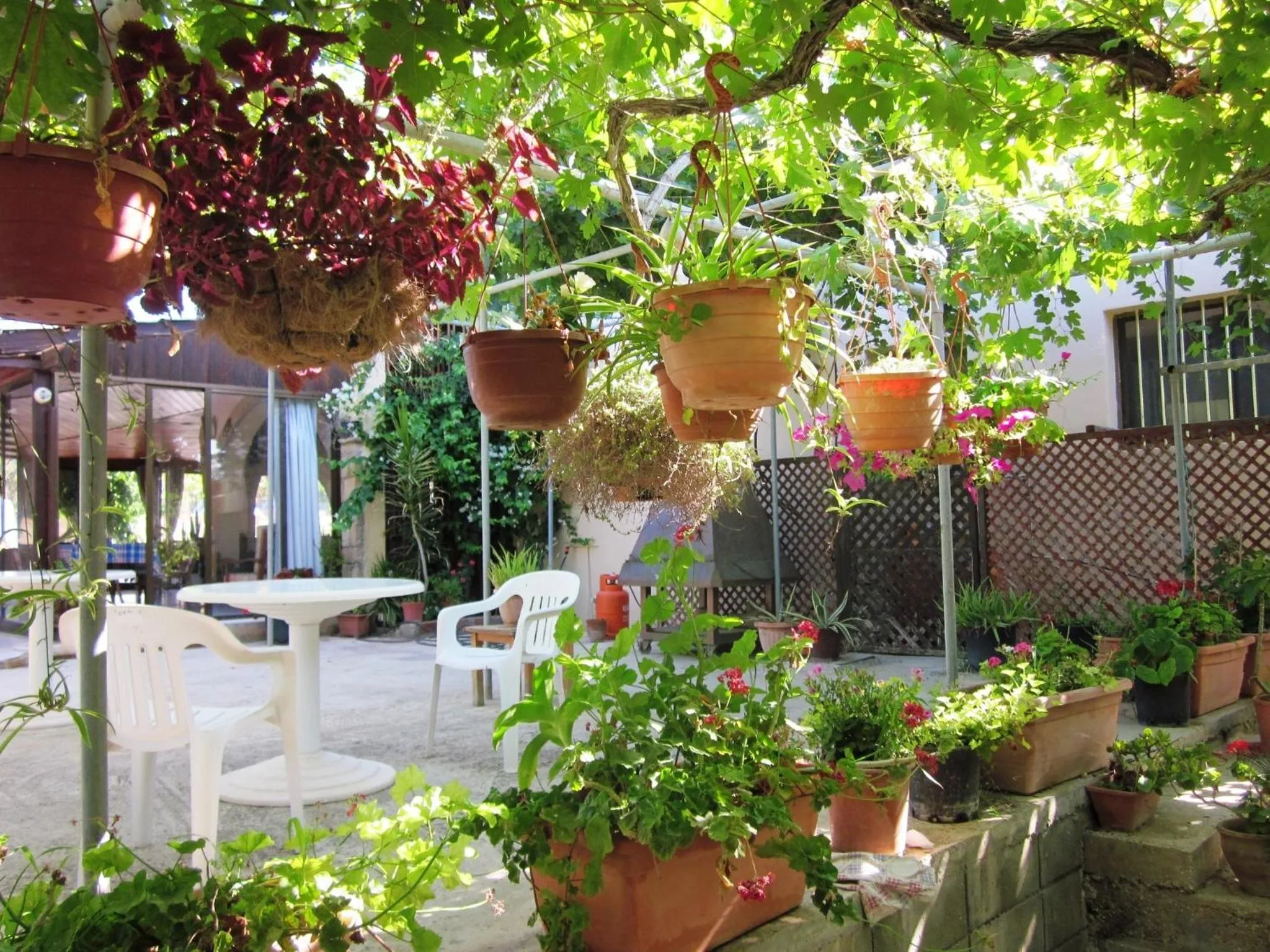 Balcony/Terrace in Georgia Apartments