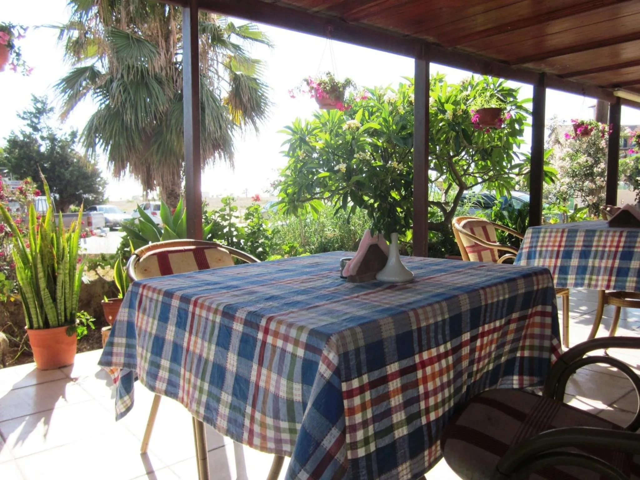 Balcony/Terrace in Georgia Apartments