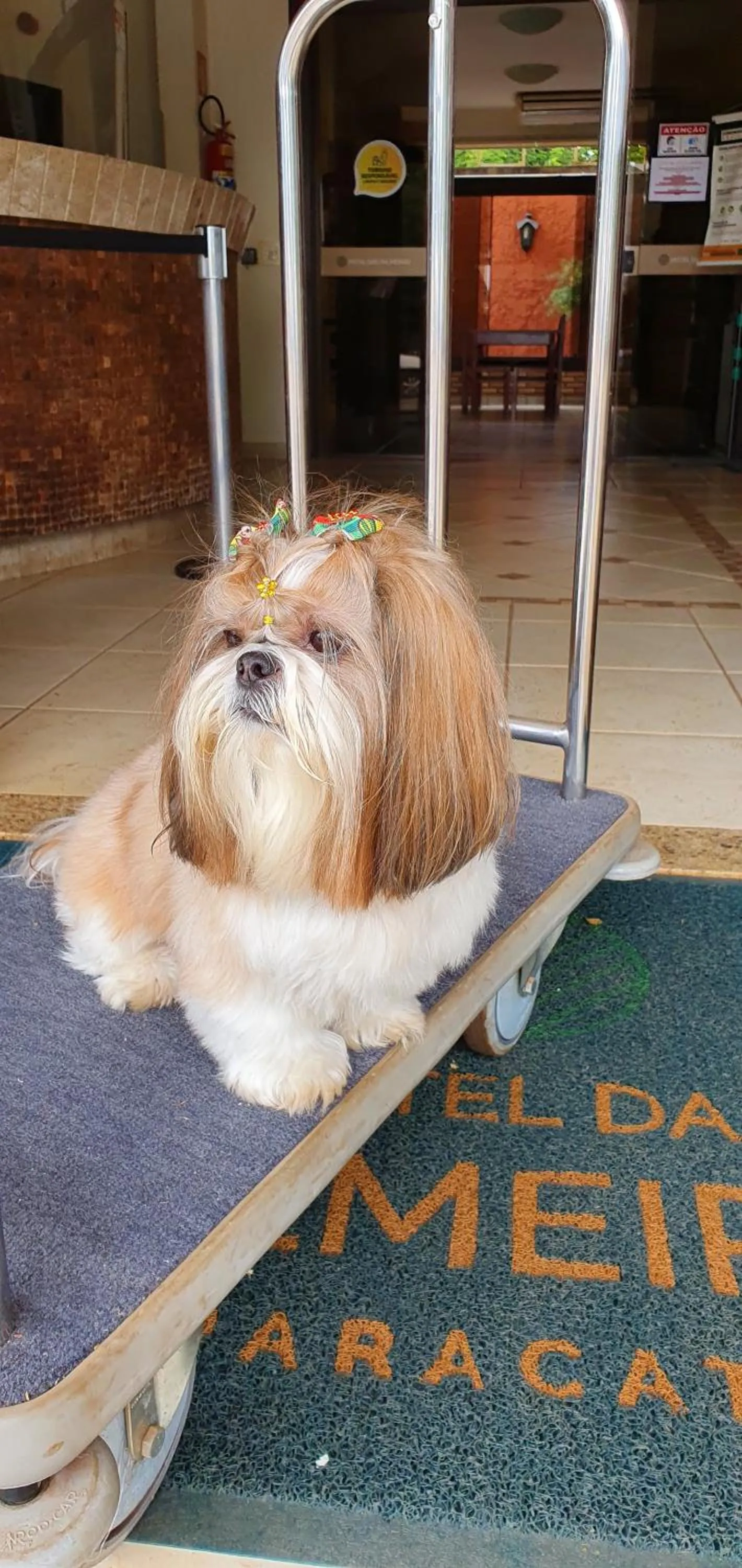 Property building in Hotel das Palmeiras