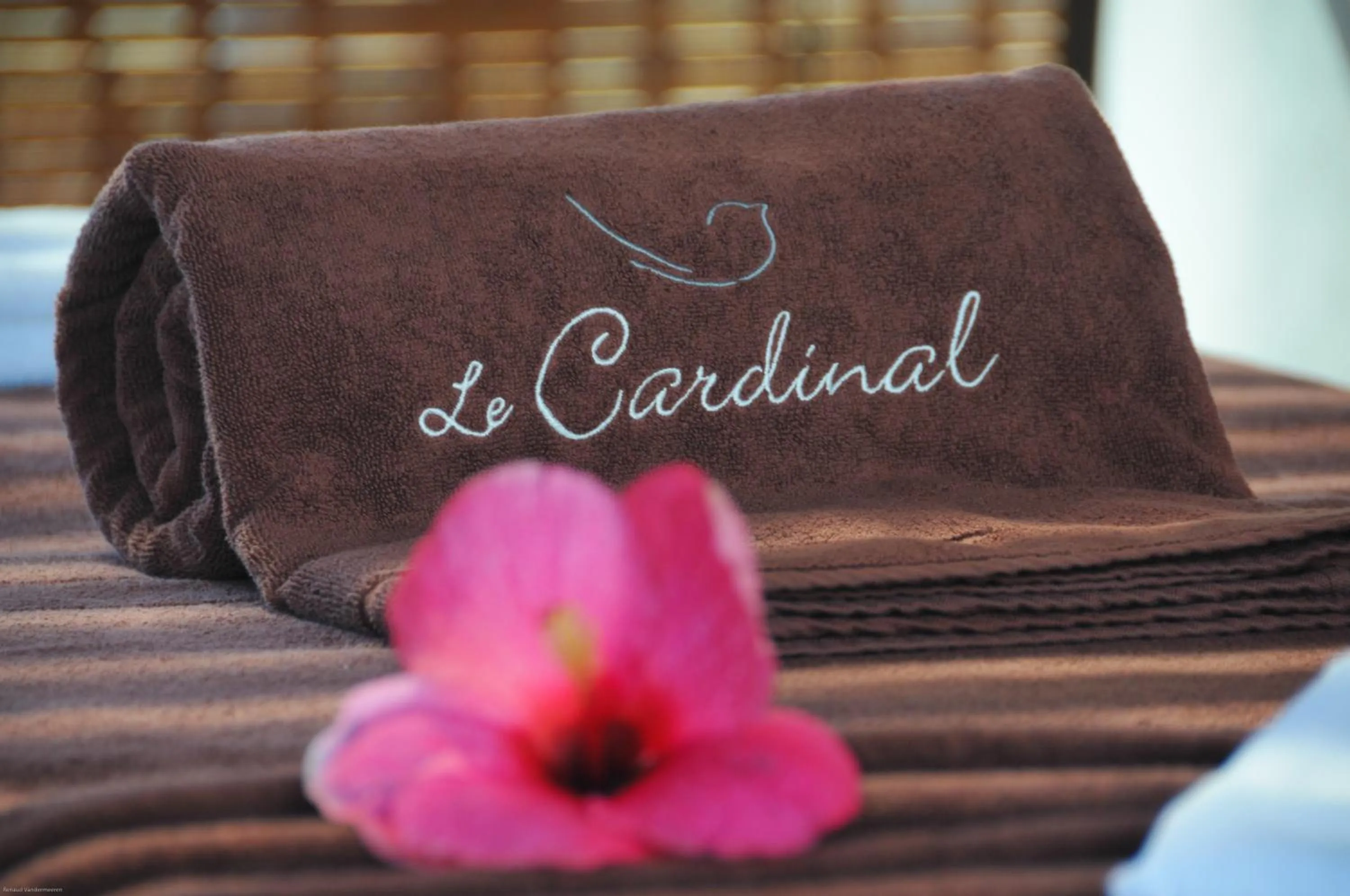 Spa and wellness centre/facilities in Le Cardinal Exclusive Resort