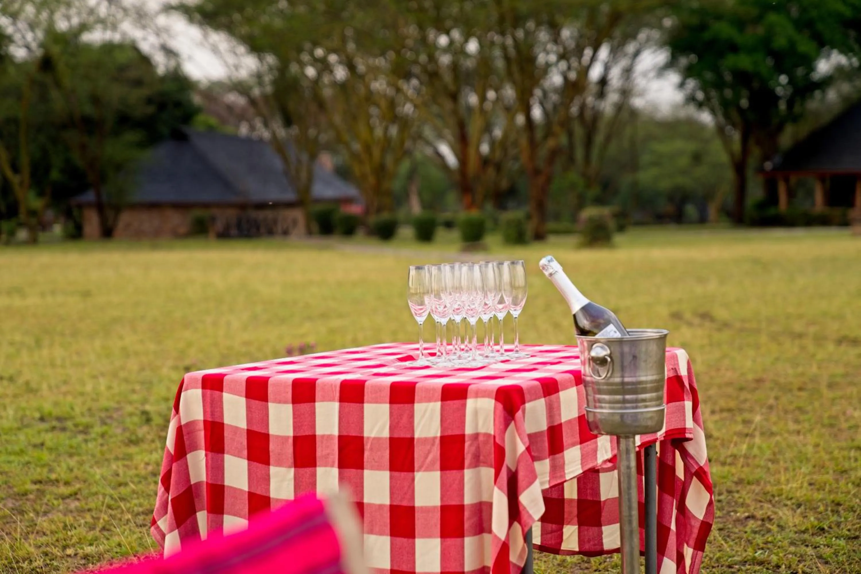 Food and drinks in Muthu Keekorok Lodge, Maasai Mara, Narok
