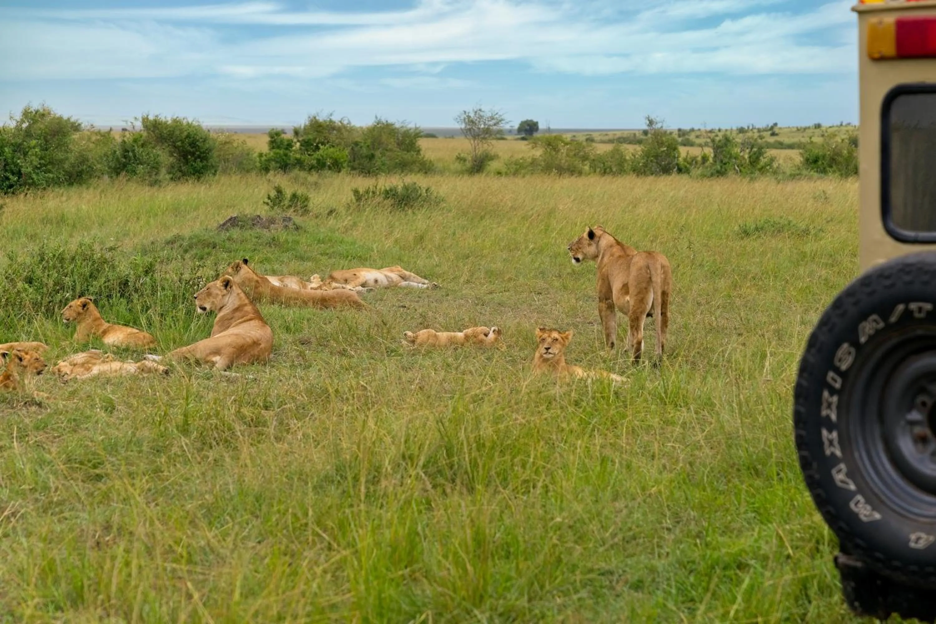 Day in Muthu Keekorok Lodge, Maasai Mara, Narok